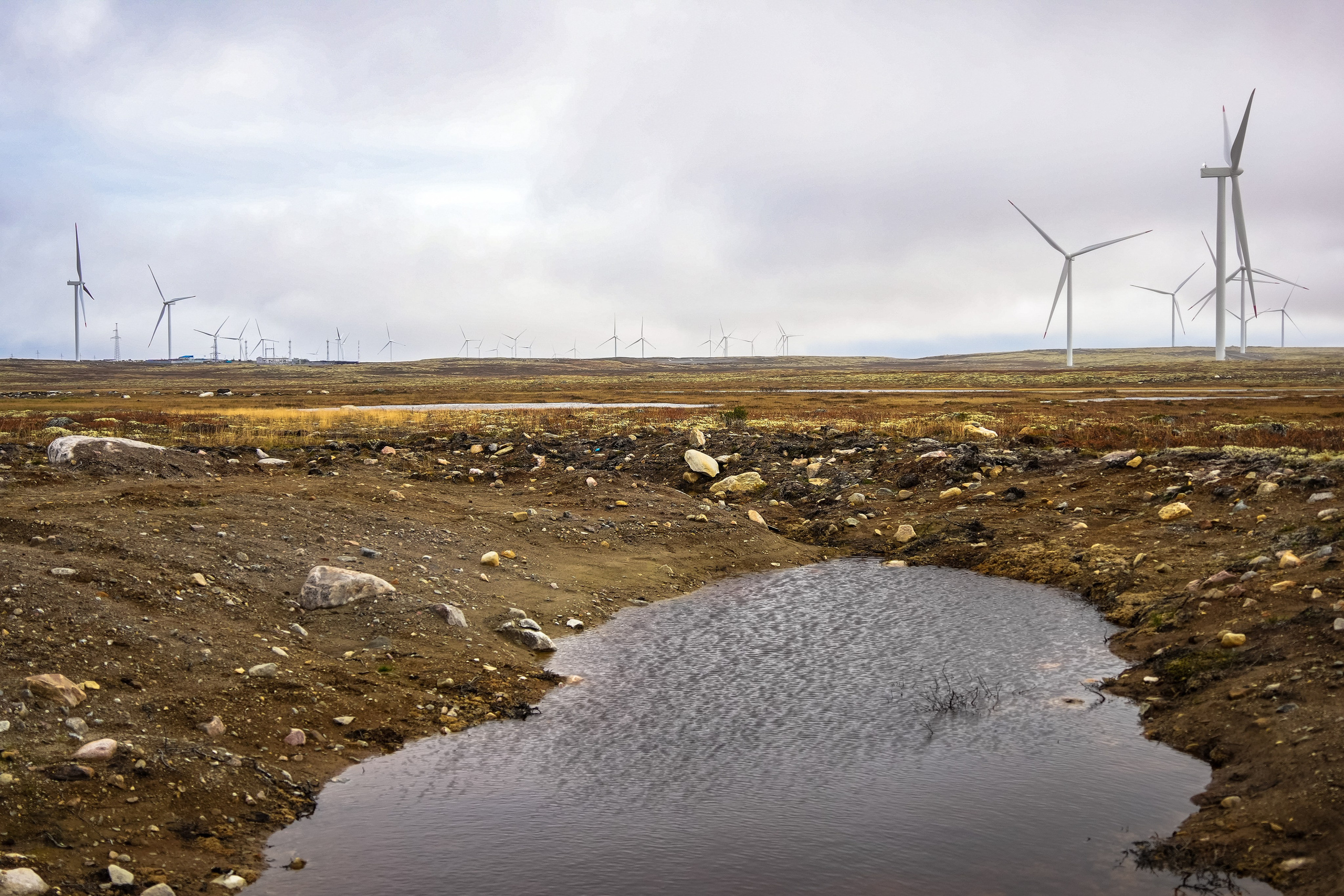 СЕВЕР. Event фотограф Степанова Александра