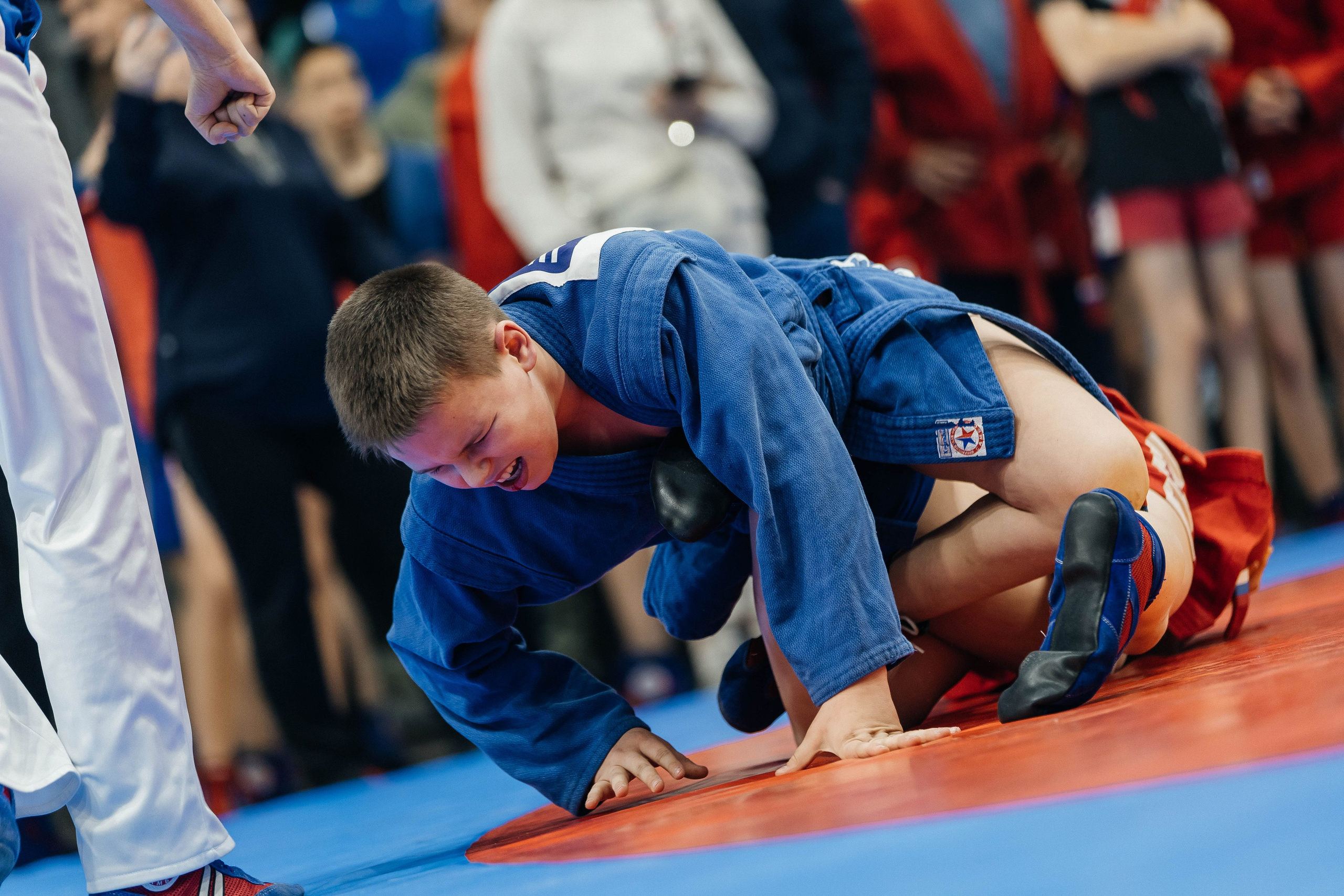 Sambo Championship. Maxim Tsoy Photography