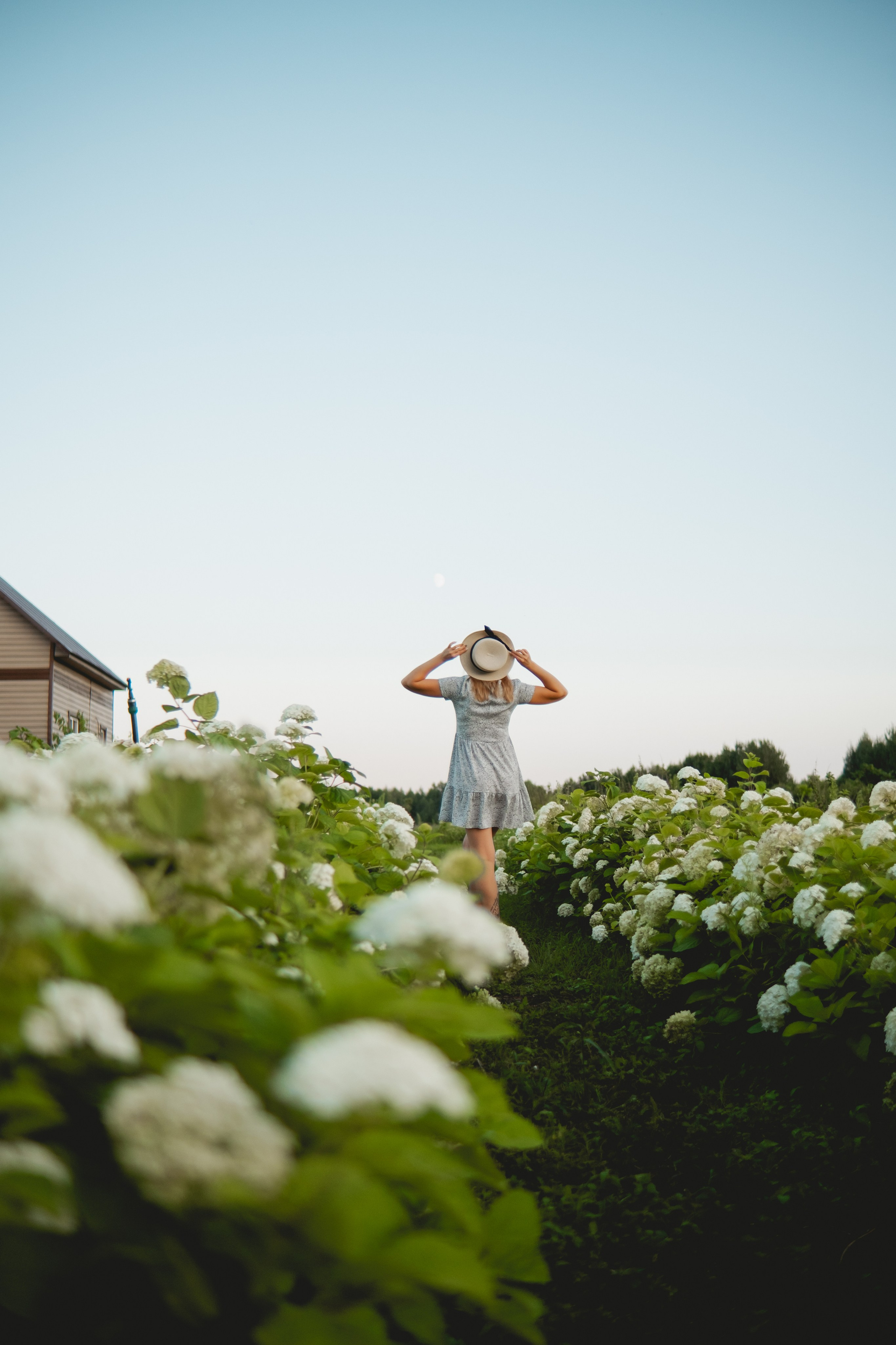 Семейная съемка в лованде. Nattie.ph