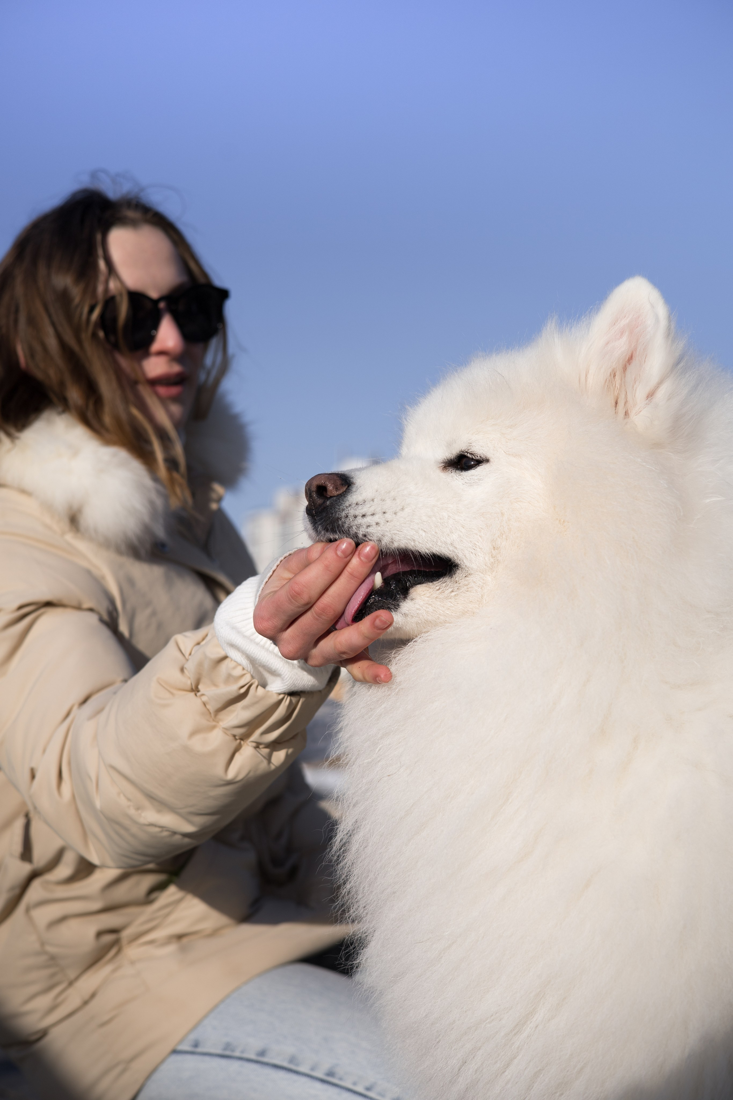 Полина и Вирчик. Фотограф — анималист Владивосток, Алина