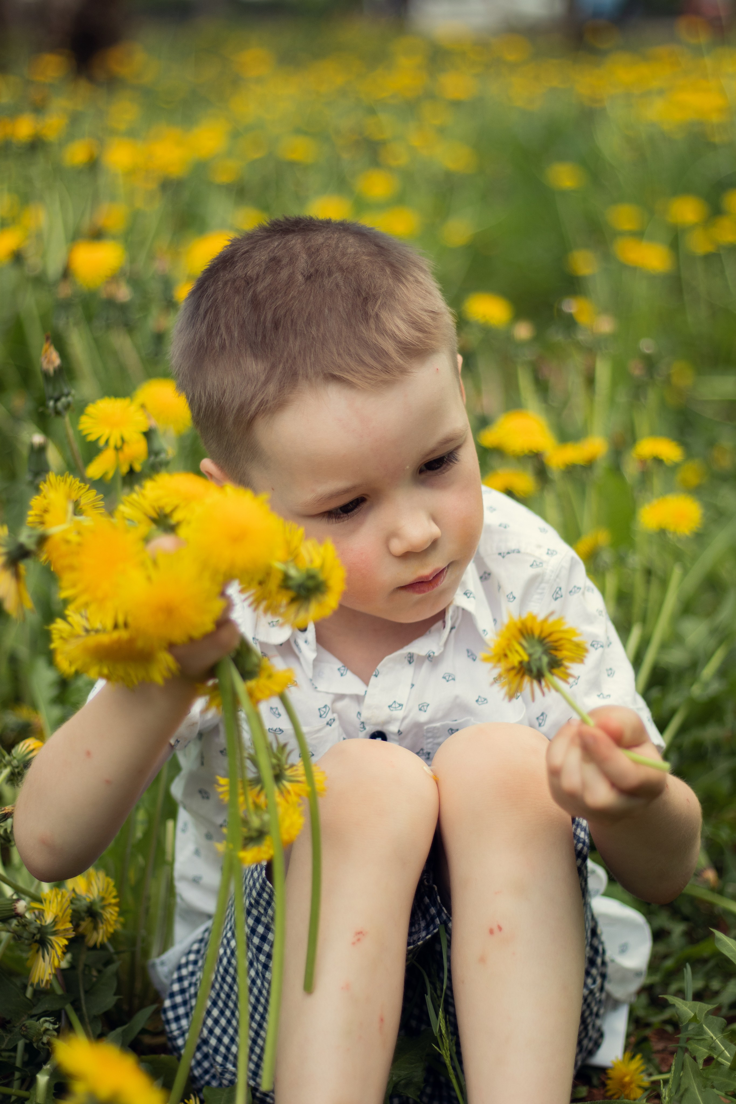 Одуванчиковое настроение