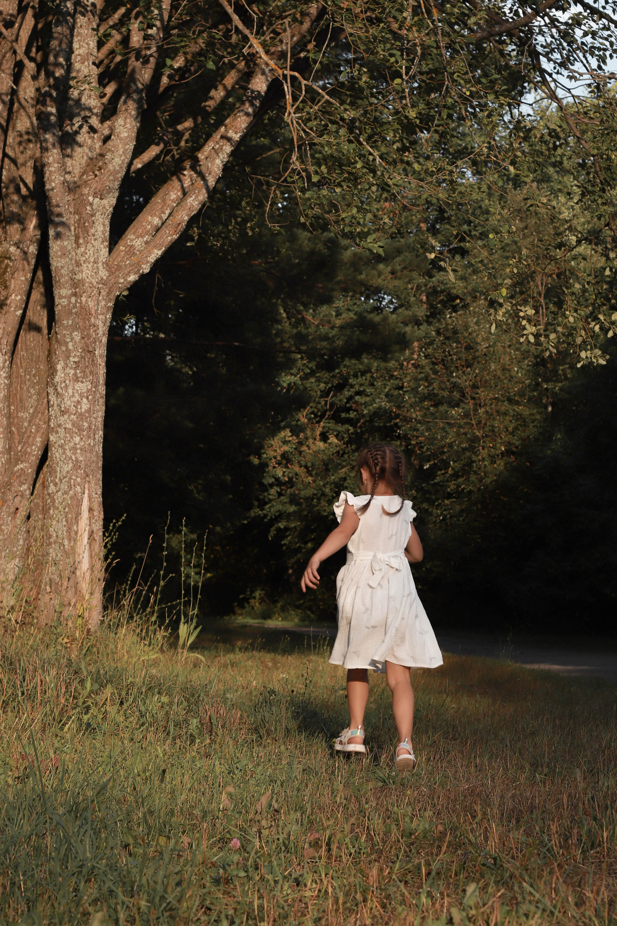 Сосновая Роща. Фотограф Анна Никитина | Йошкар-Ола