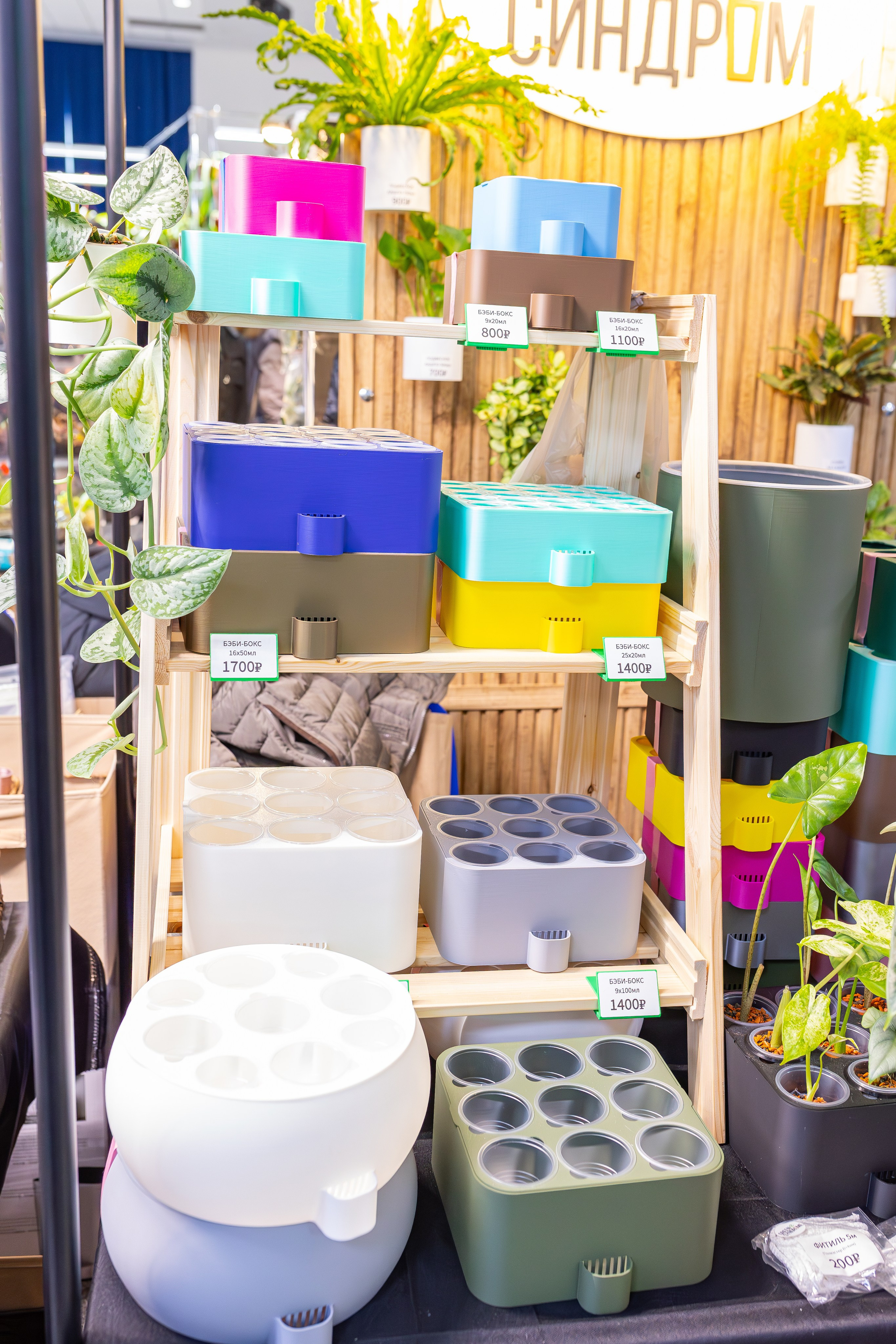 Монстериум апрель 2026. Александра Куликова фотограф, Москва