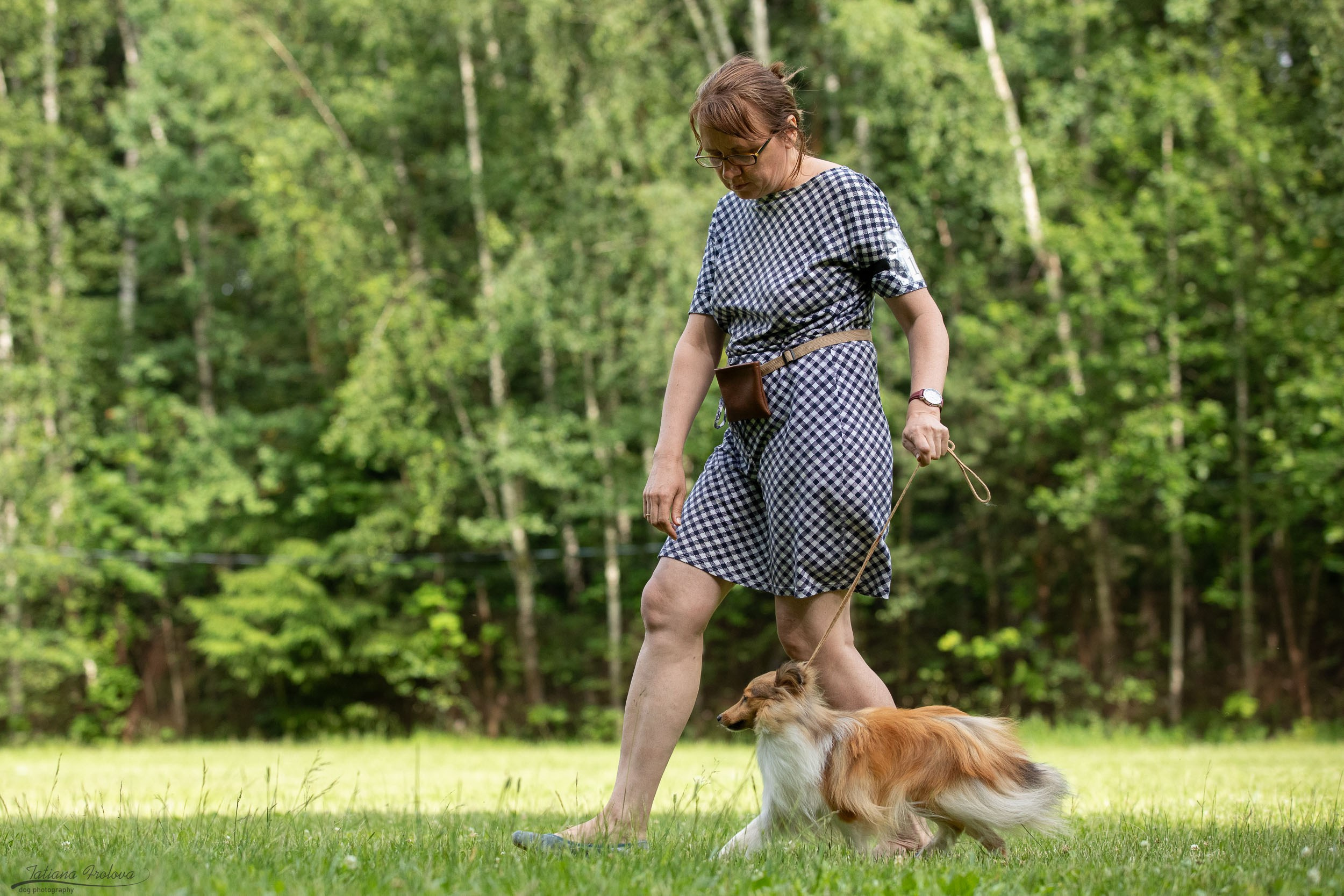 Репортаж с выводки молодняка колли/шелти в Ясенево. Фотограф-анималист в Москве и Московской области Татьяна Фролова