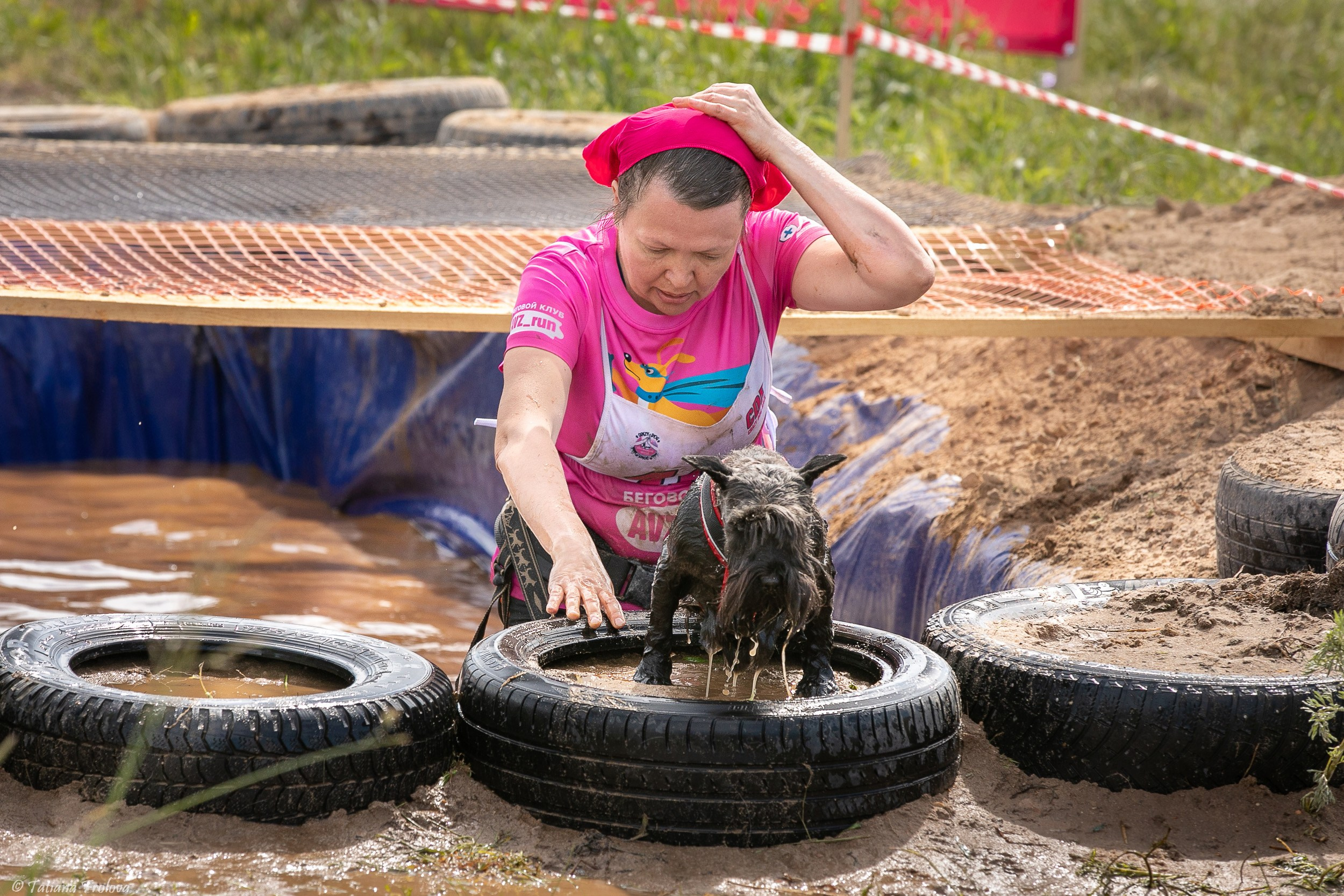 Фоторепортаж с забега с собаками. Фотограф-анималист в Москве и Московской области Татьяна Фролова