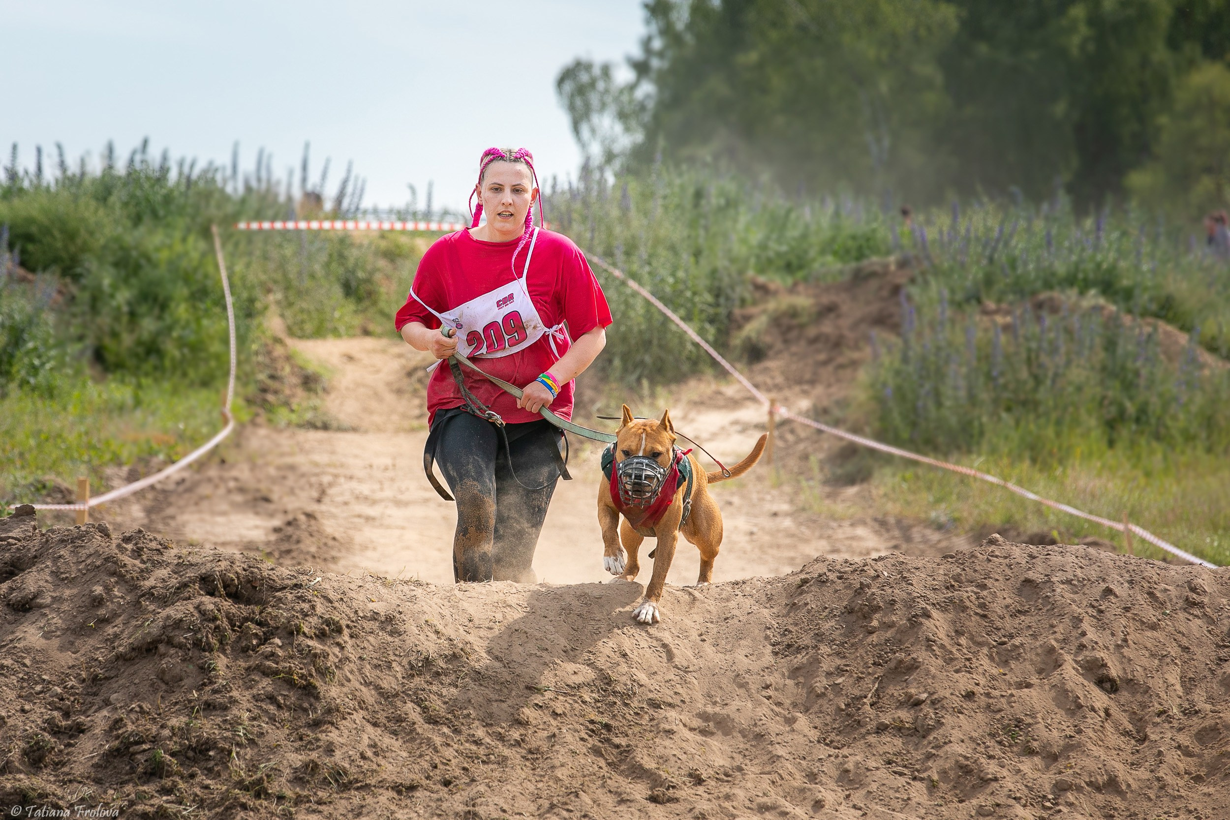 Фоторепортаж с забега с собаками. Фотограф-анималист в Москве и Московской области Татьяна Фролова