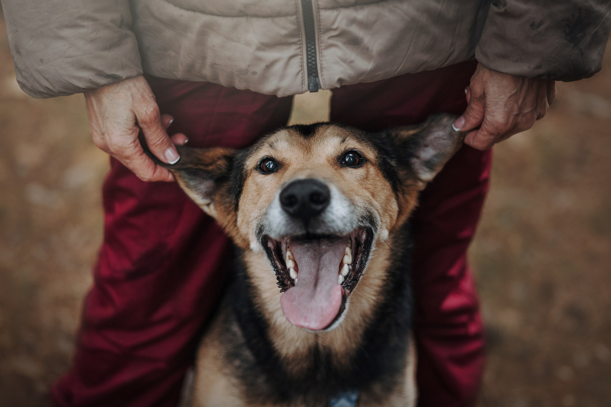 Наталья и Того. Фотограф — Анималист | Санкт-Петербург