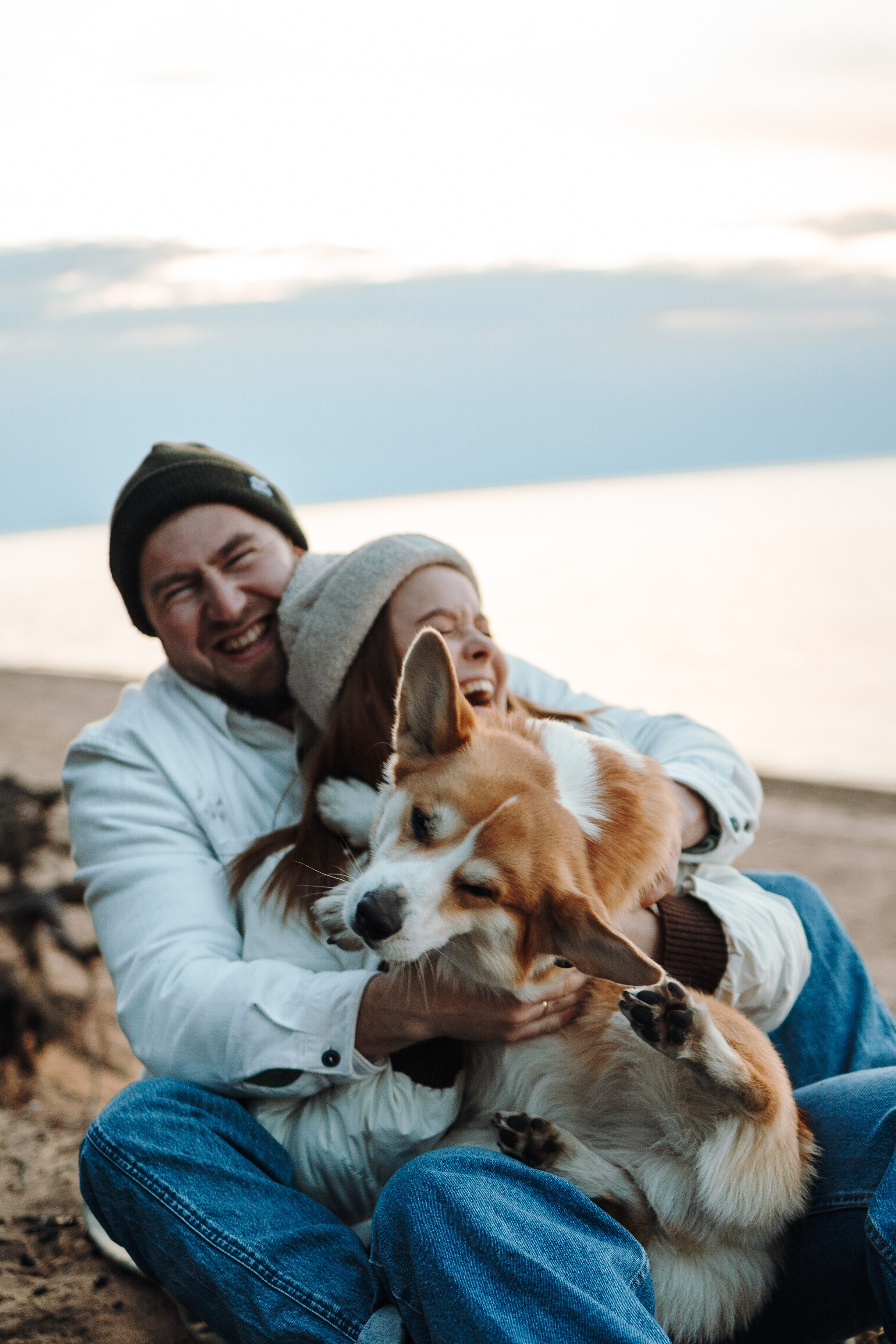 Найт и его семья. Фотограф — Анималист | Санкт-Петербург