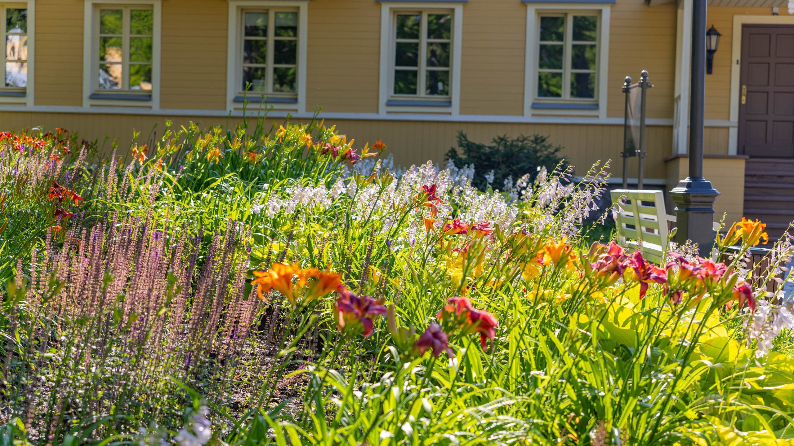2025 07 Выборг — Сортавала — Великий Новгород — Псков. Фотографии
