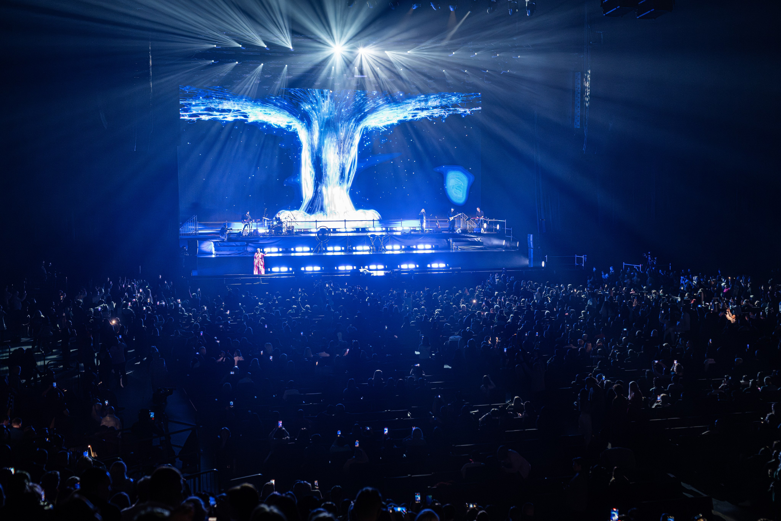 КАТЯ ЛЕЛЬ / 2025. OOPS