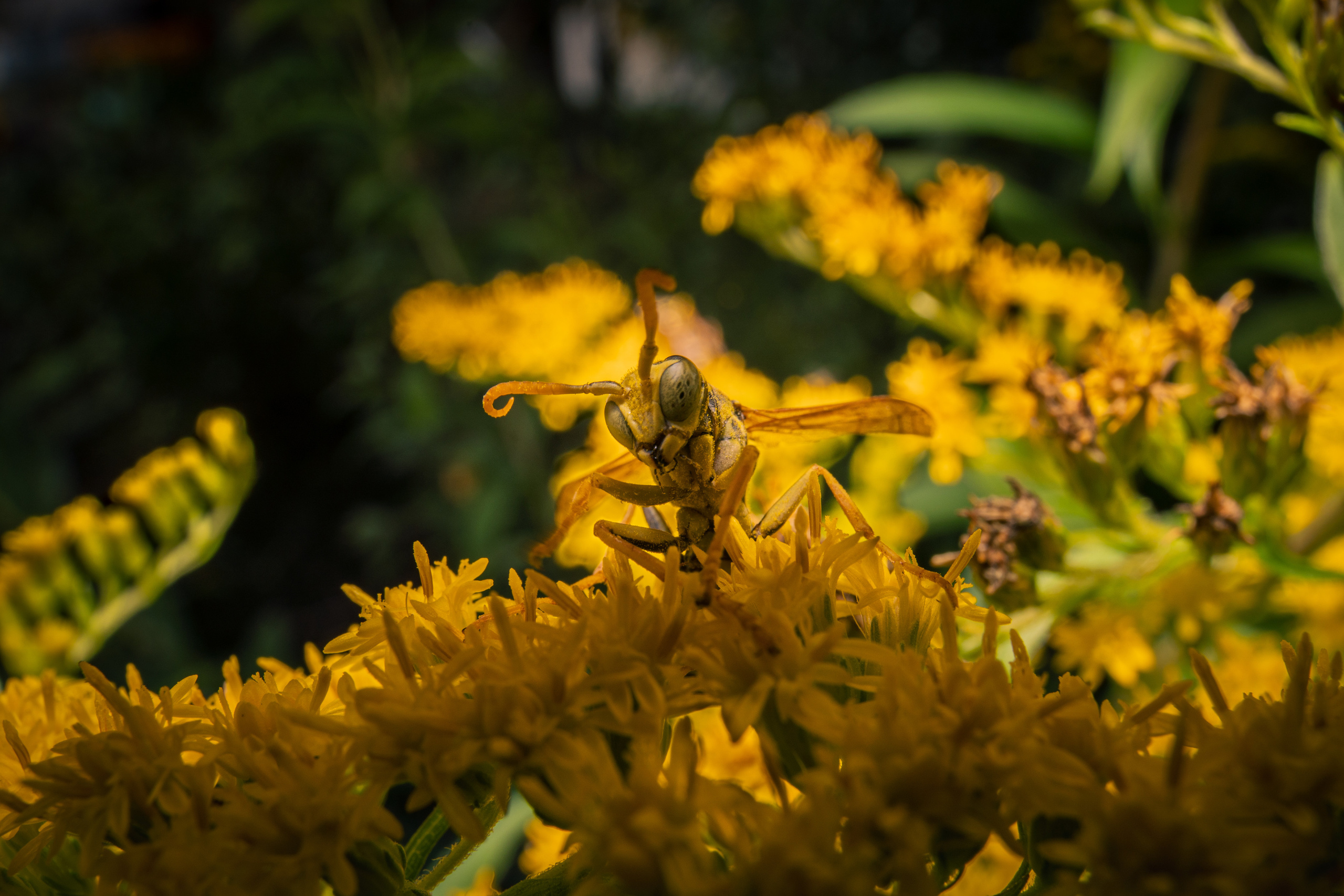 Природа и пейзажи. Портретный, репортажный и свадебный фотограф в Екатеринбурге Денис Южаков