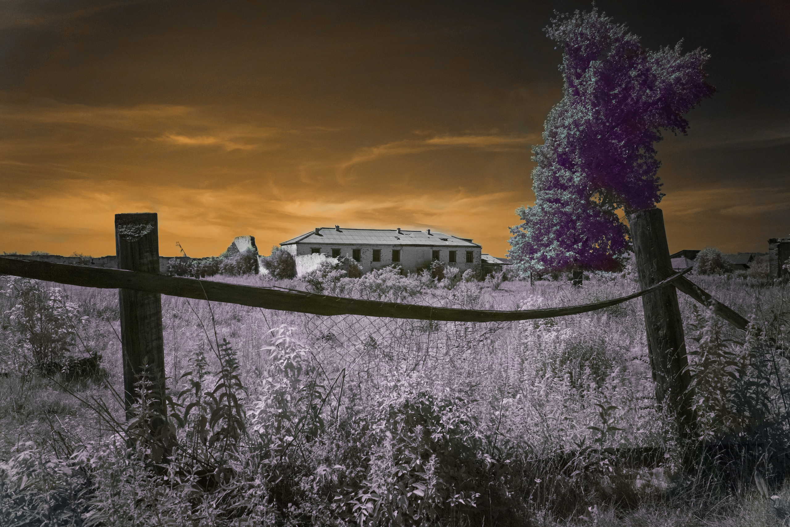 Инфракрасная фотография. Портретный, репортажный и свадебный фотограф в Екатеринбурге Денис Южаков