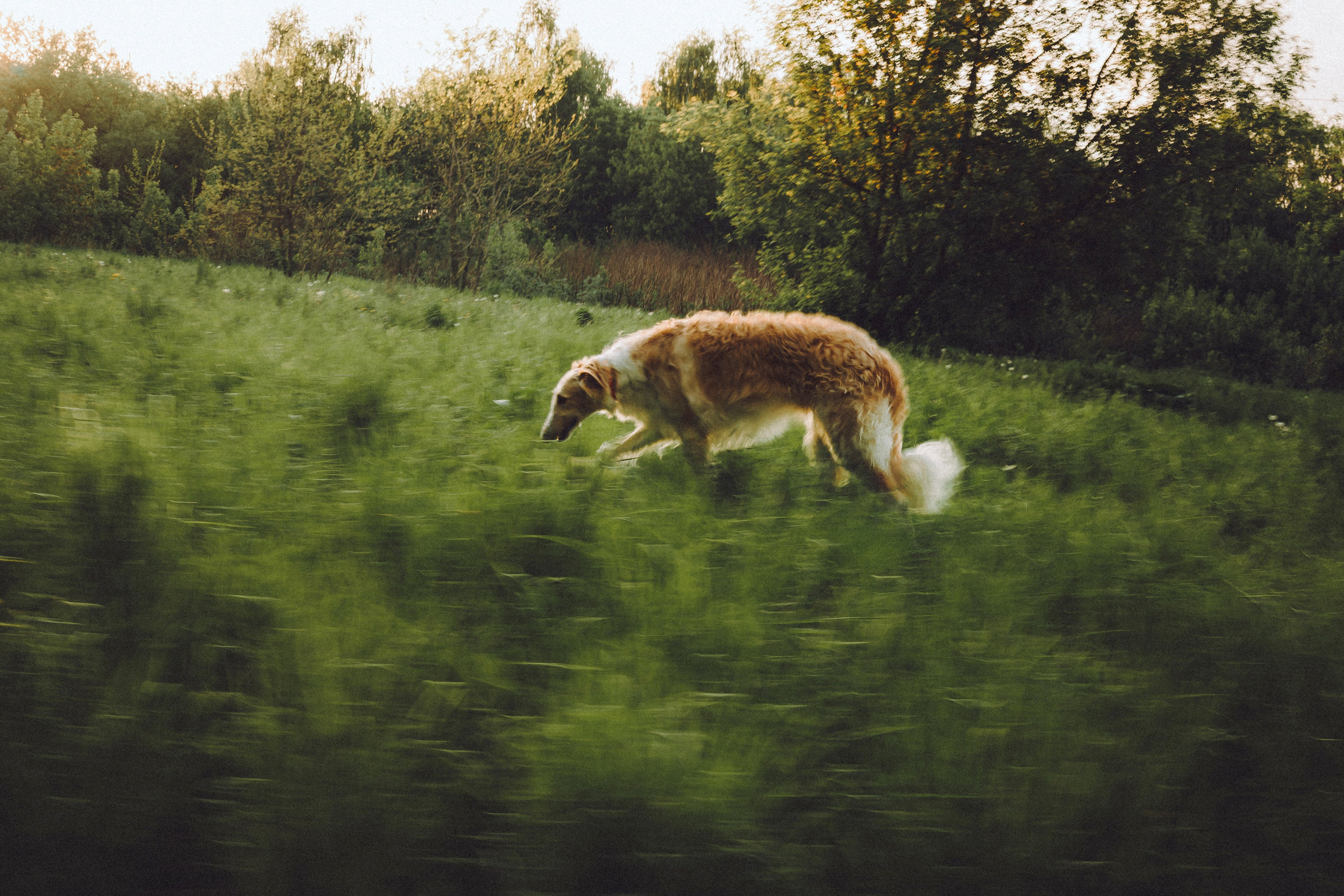 Илай, Зайка и их семья