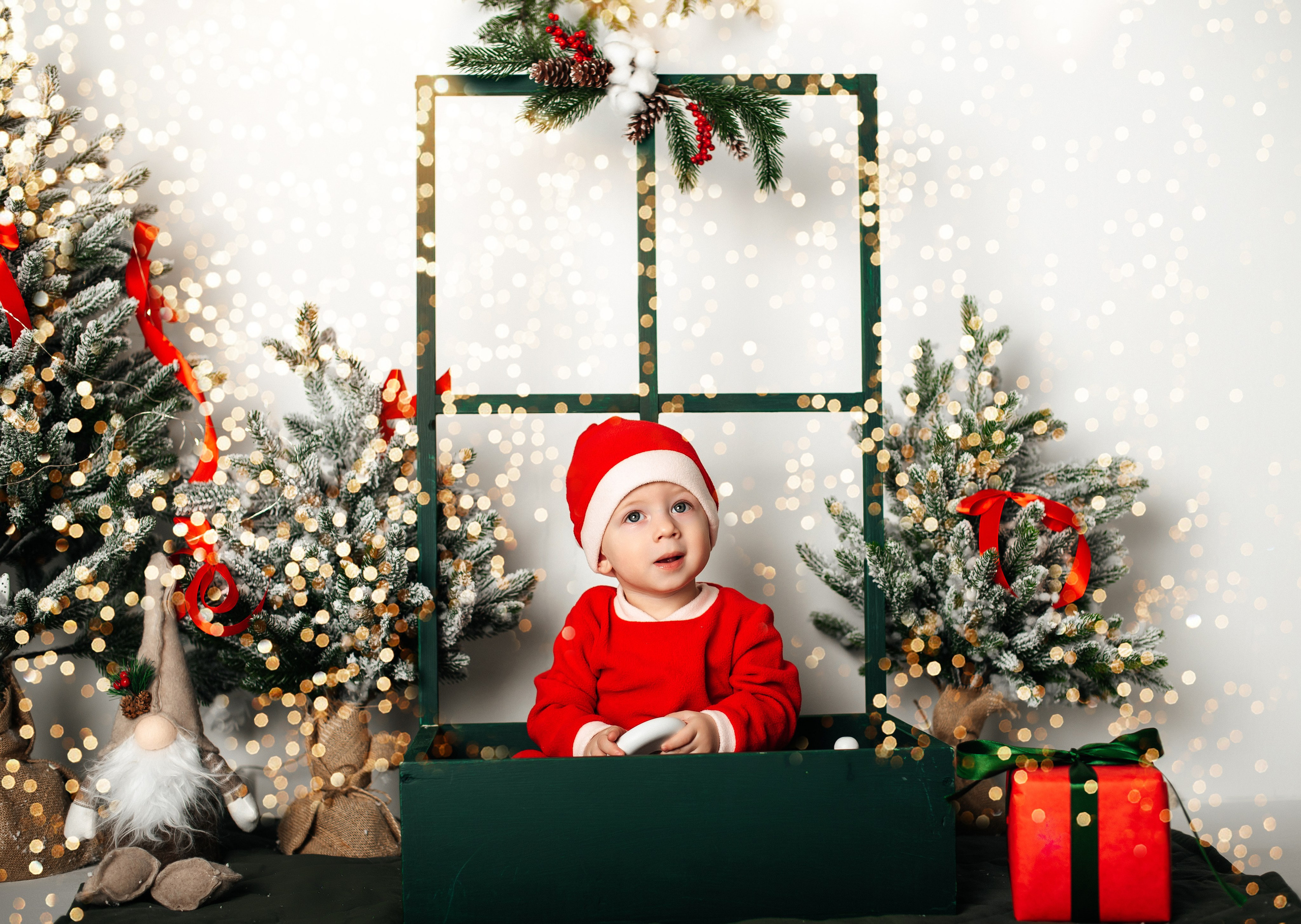 Новый год. Фотограф новорожденных и беременности Сергиев Посад Усачева Ирина