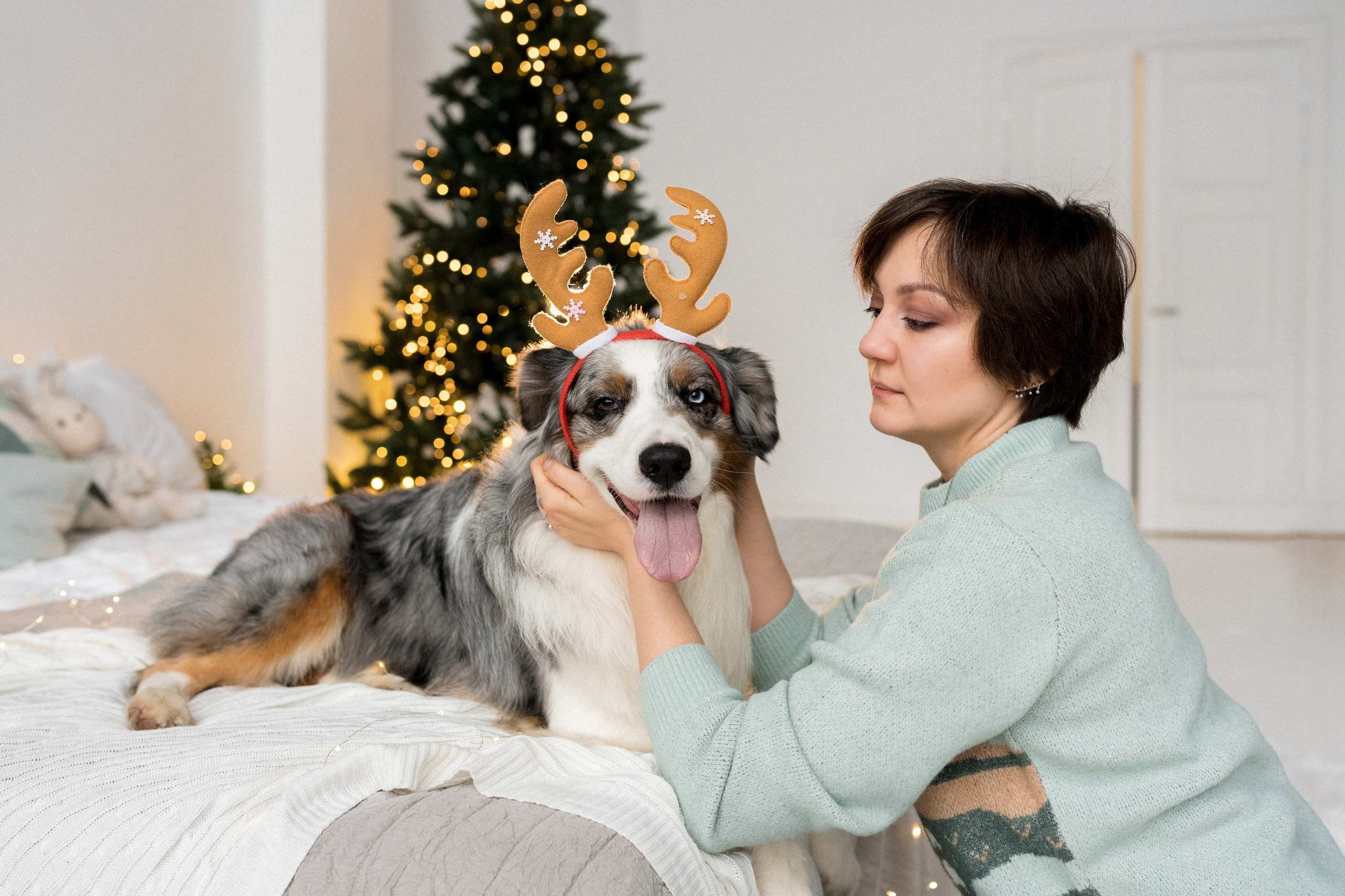 Новогоднее студия. Свадебный фотограф в Москве Анна Полушина
