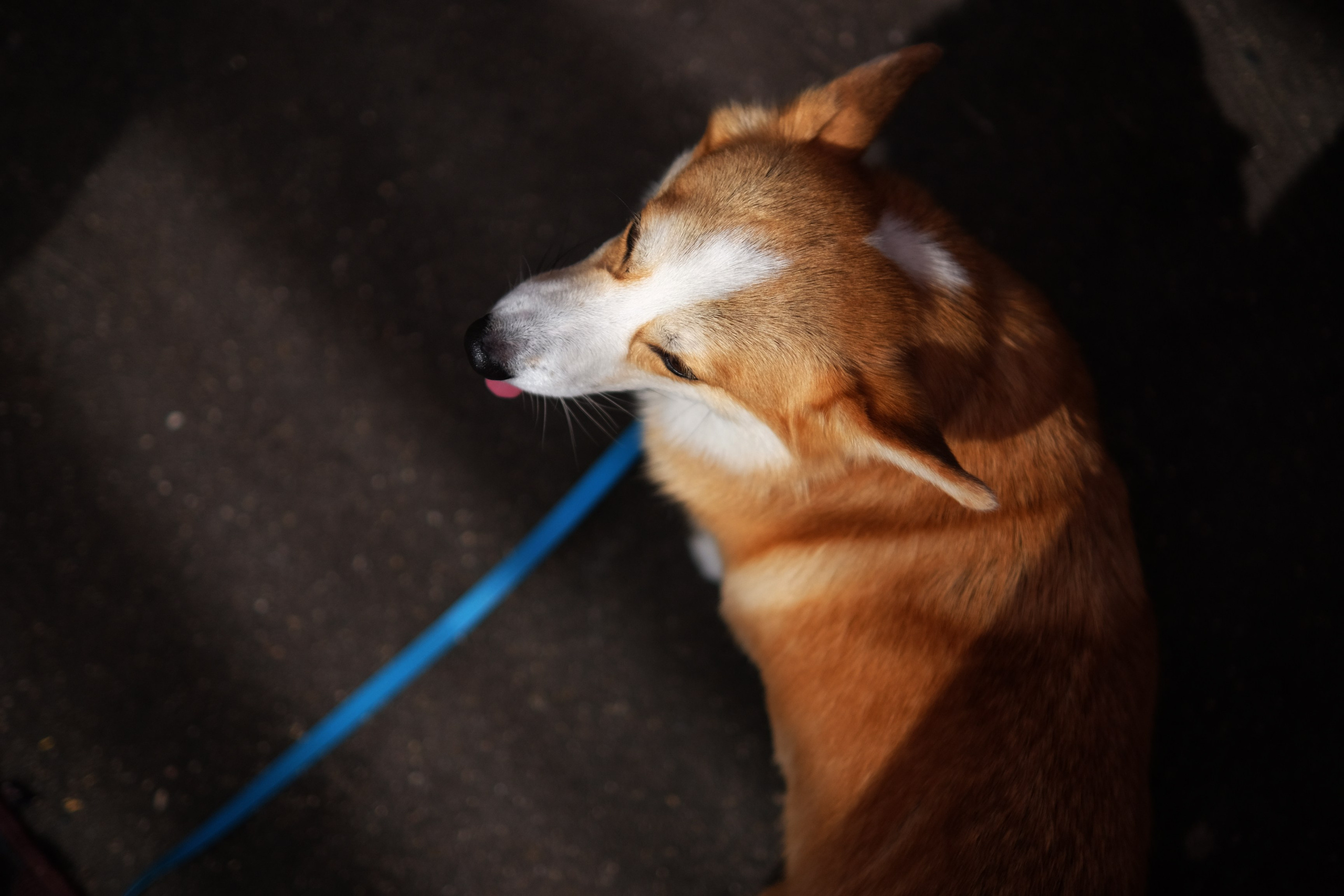 Vinyl Market 10th Anniversary/ Moscow. Анна Федо Фото