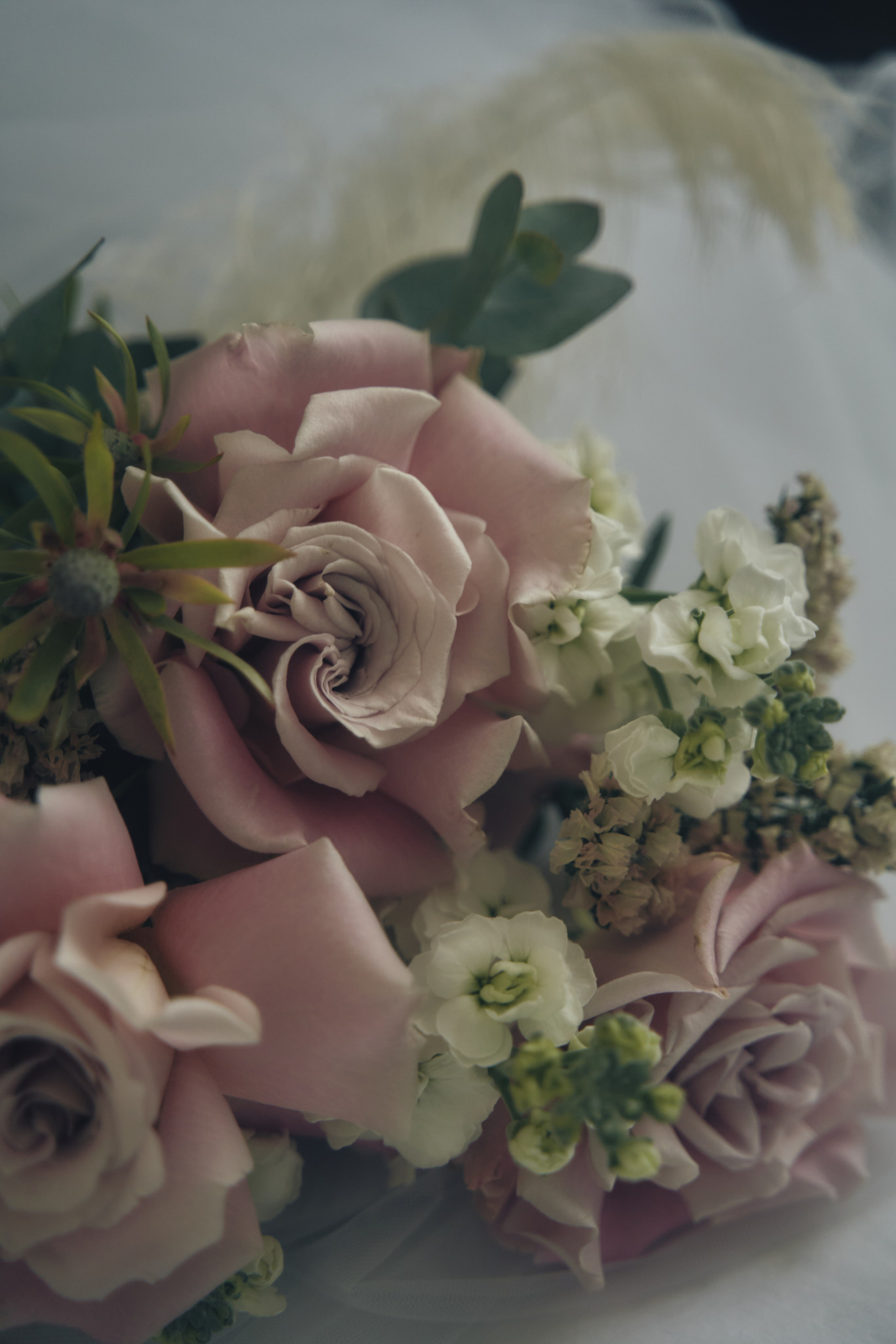 Утро невесты, София. Главная