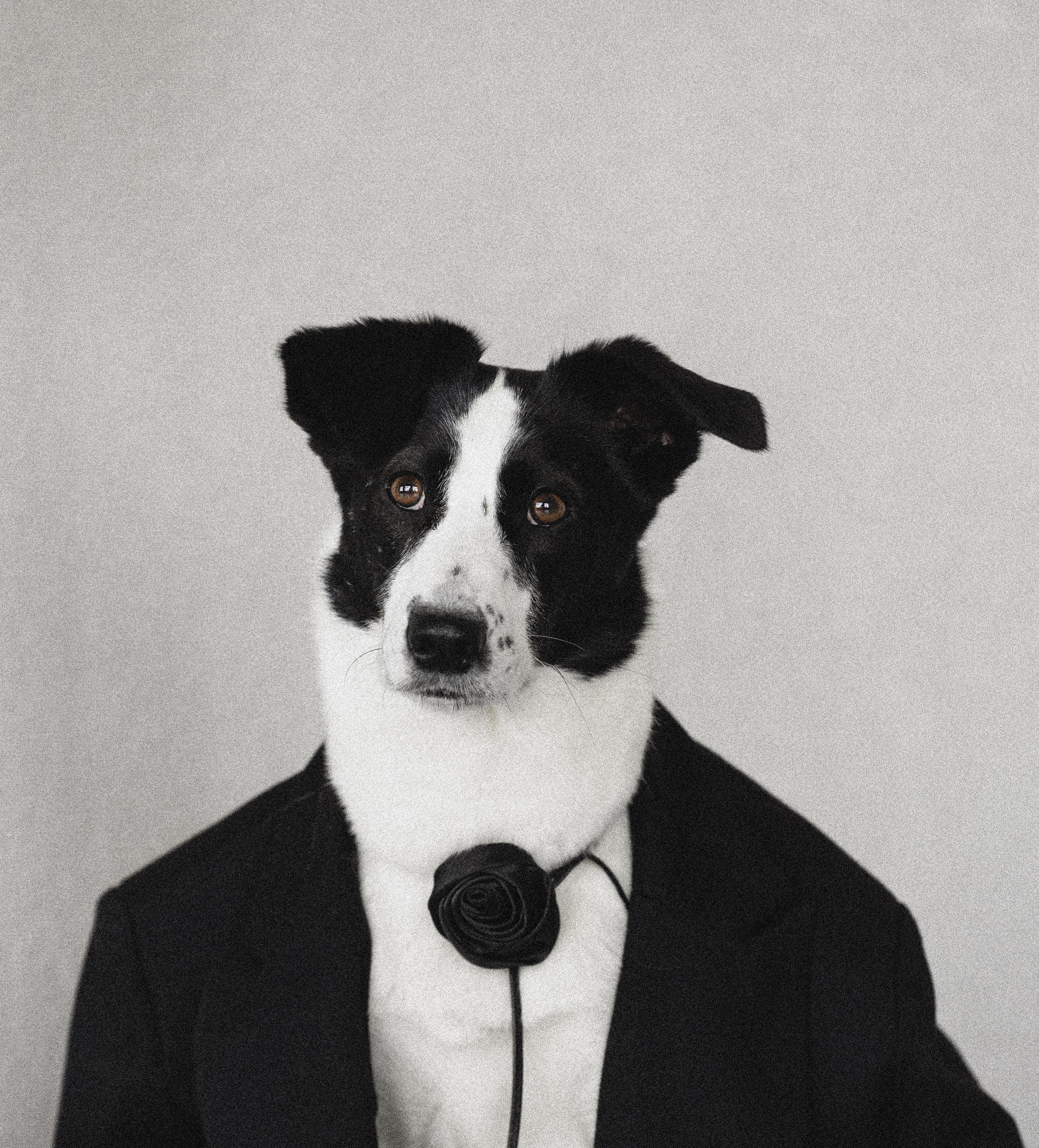 Портфолио. Фотограф-анималист в Екатеринбурге Марина Шишкина