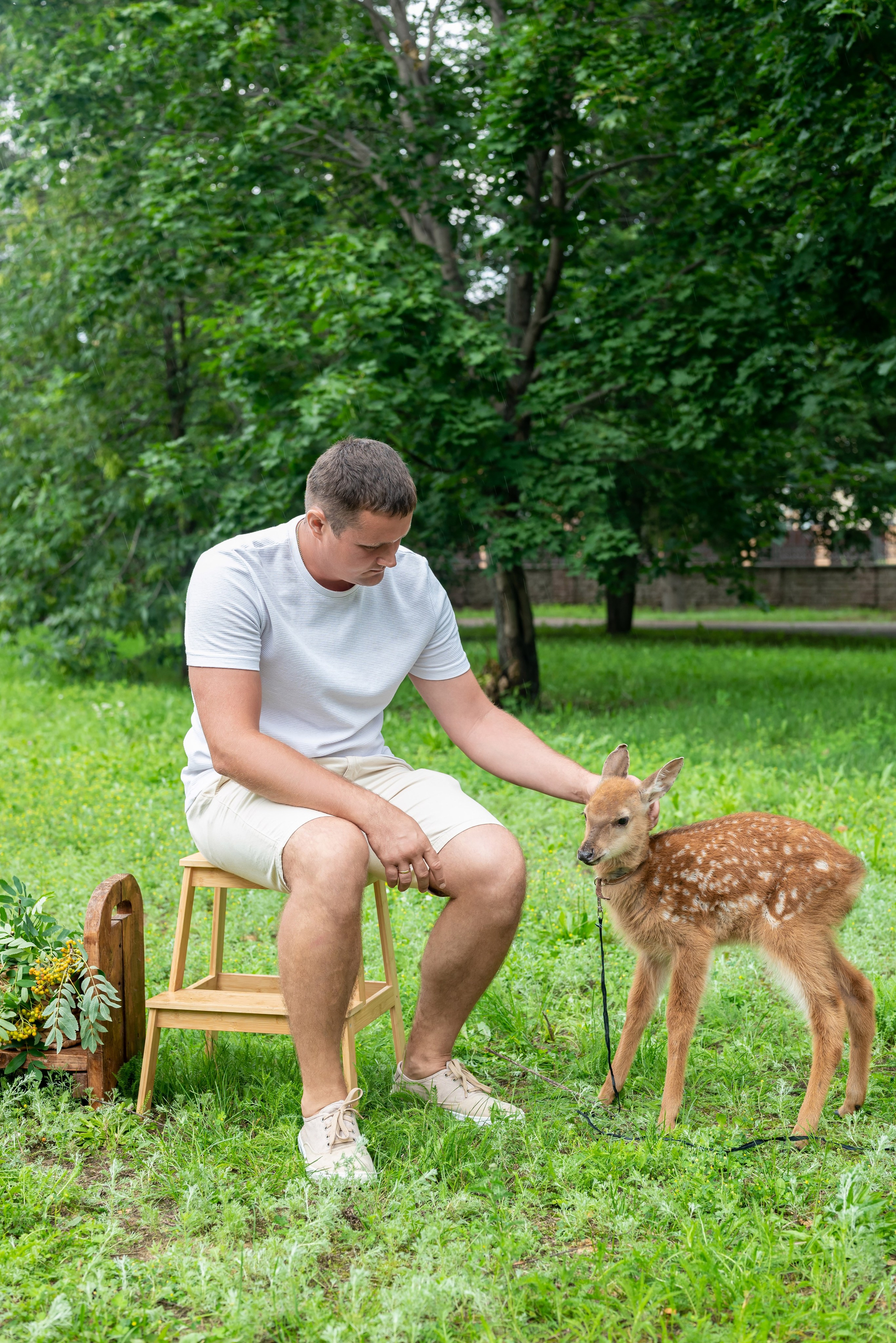 Фотопроект *Оленёнок Бэмби*. Фотограф в городе Салават