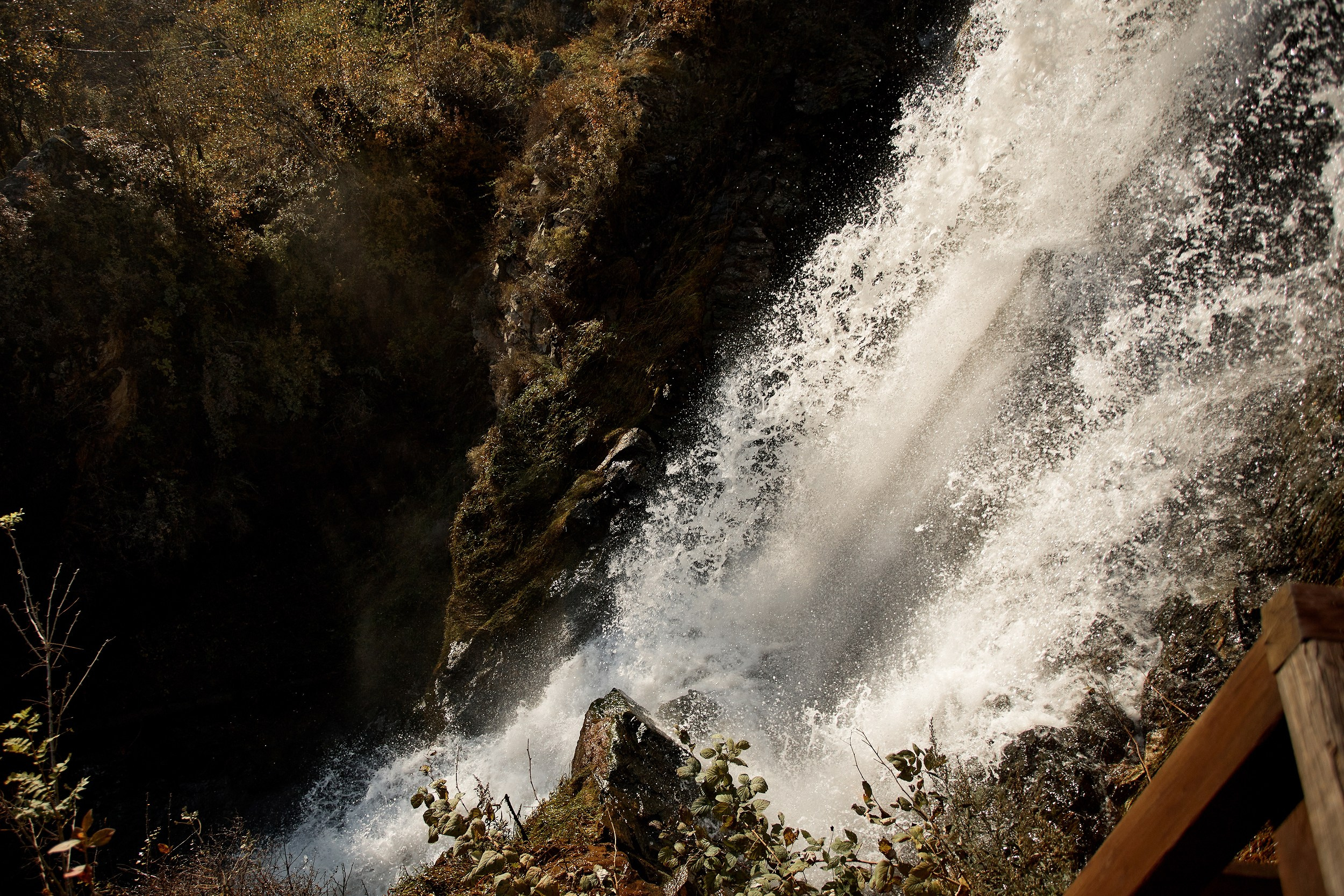 Алтай. Свадебный фотограф Челябинск, Екатеринбург, Курган — Виктор Слуднов