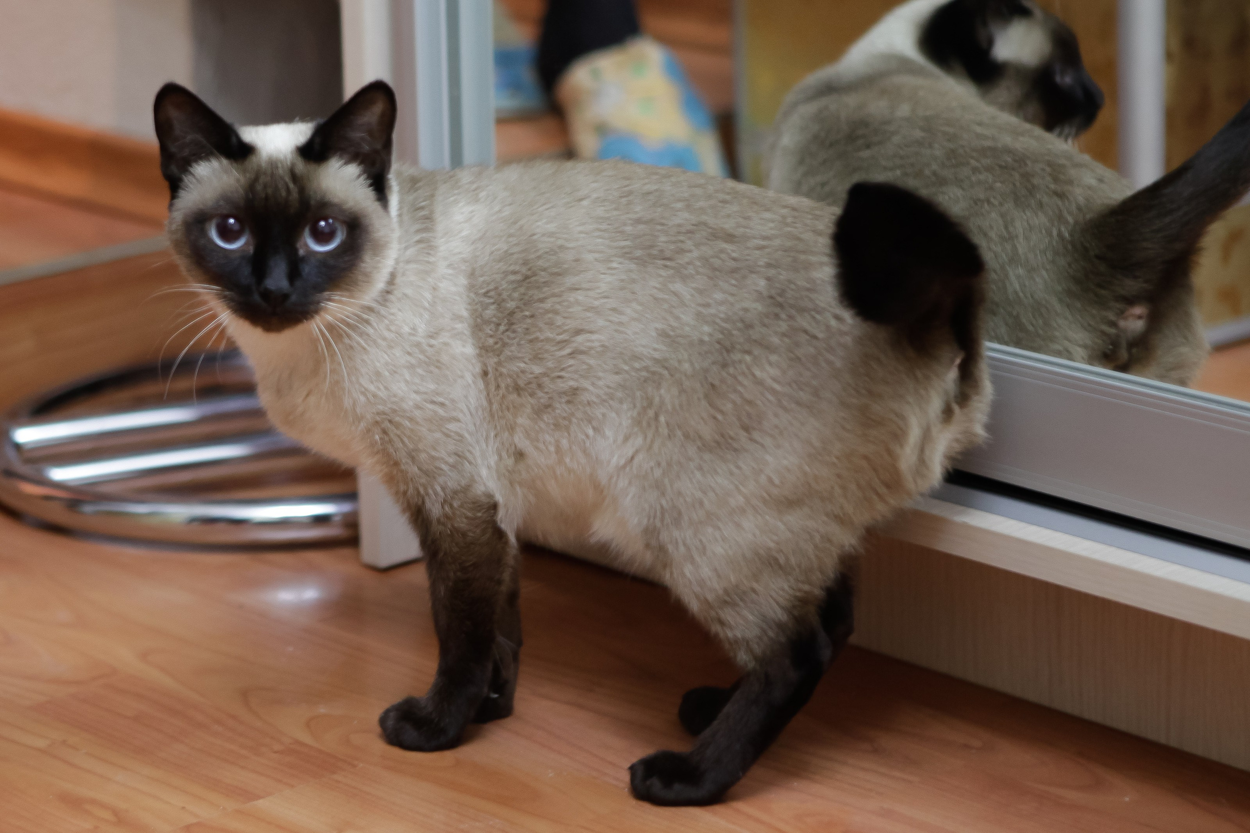 Утро/Morning. Максим Матвийченко и Виктория Басова профессионалы своего дела