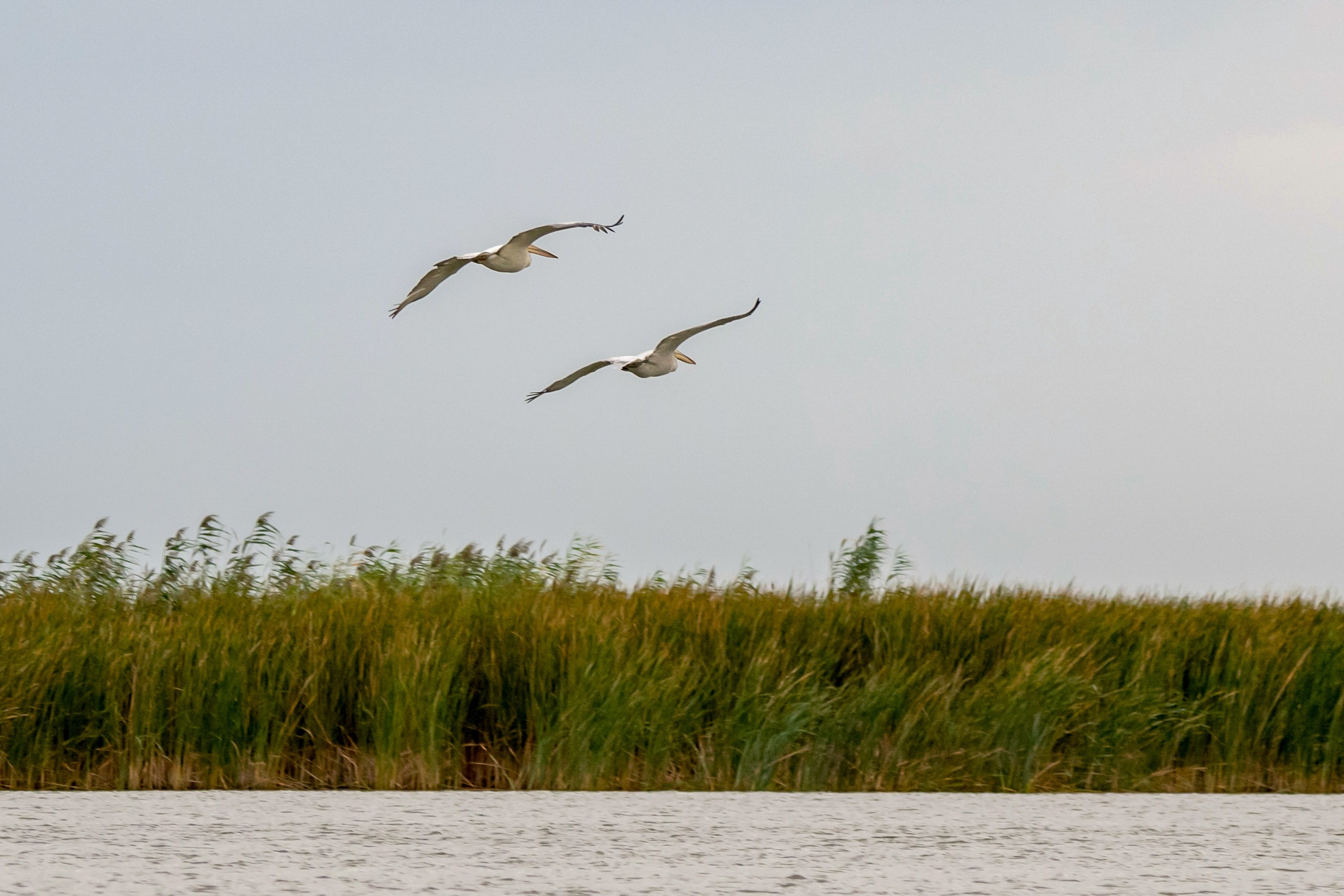 Природа Дагестана, сентябрь 2024. Foto-Zuev фотография как искусство