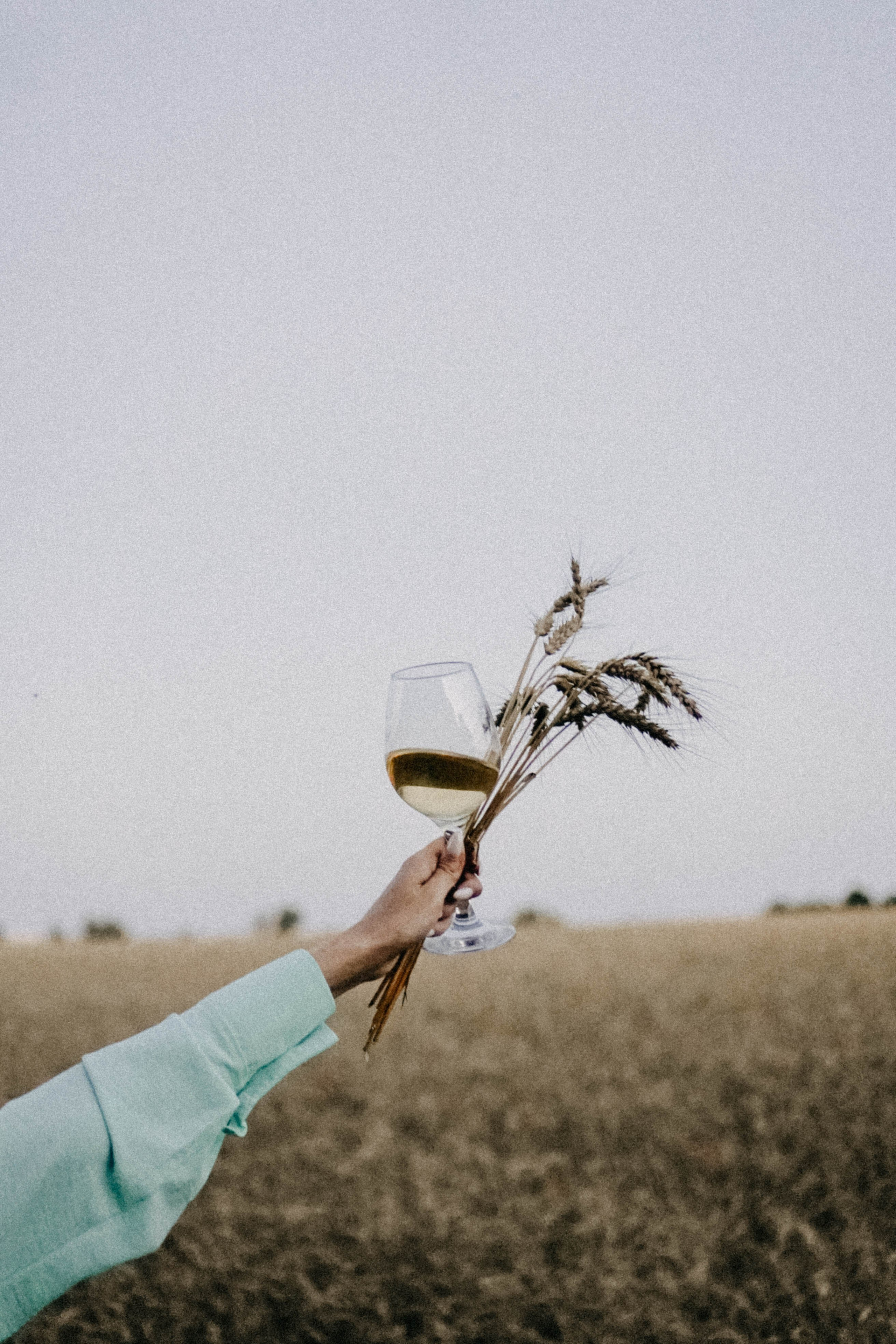 Летний вечер. Профессиональный фотограф, Санкт-Петербург — Виктория Богомолова