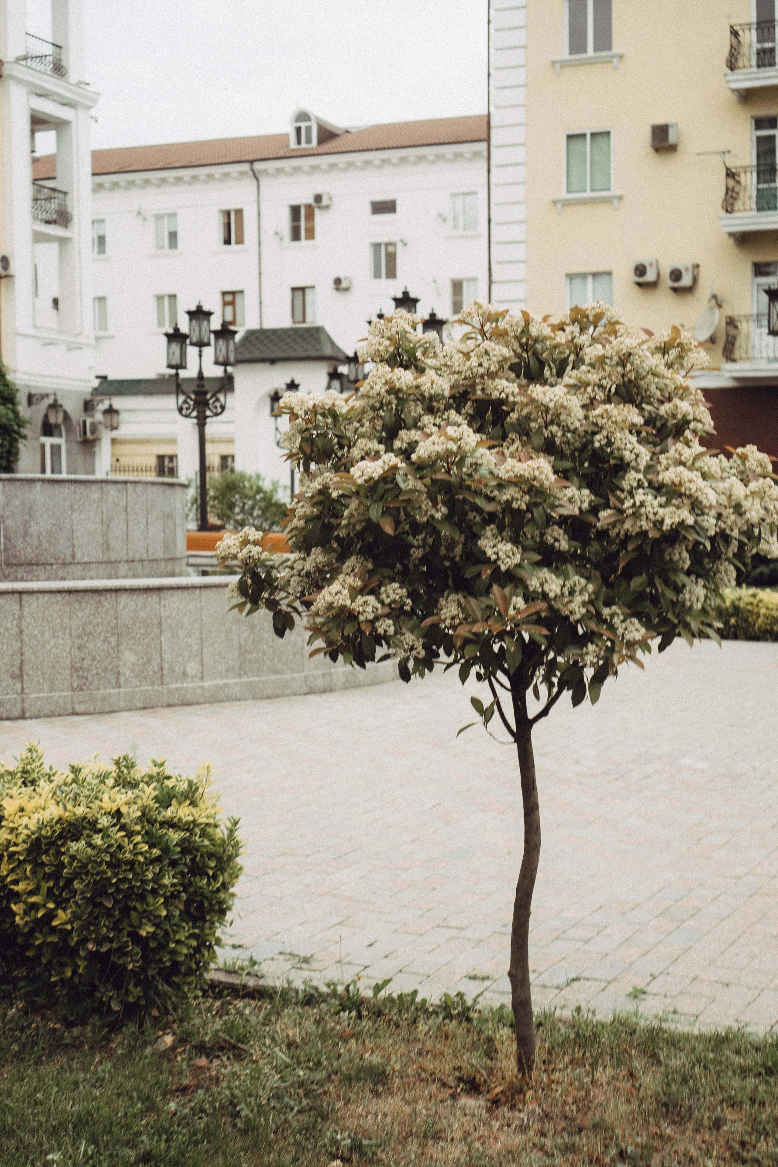 Кавказ. Профессиональный фотограф, Санкт-Петербург — Виктория Богомолова