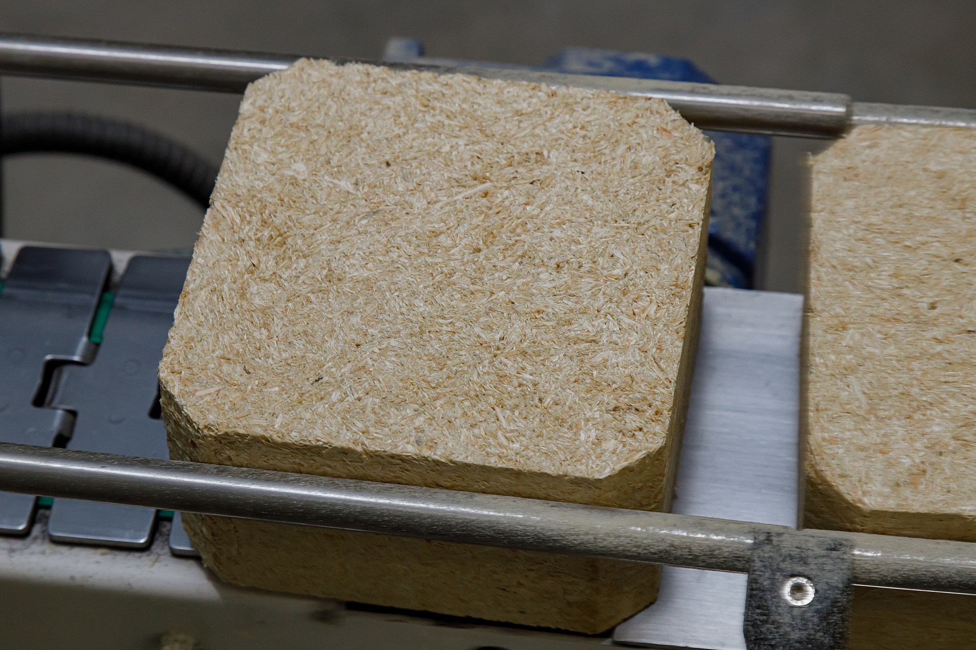 Osko invest. Боченков Вадим | Фотограф в Пскове и Санкт-Петербурге