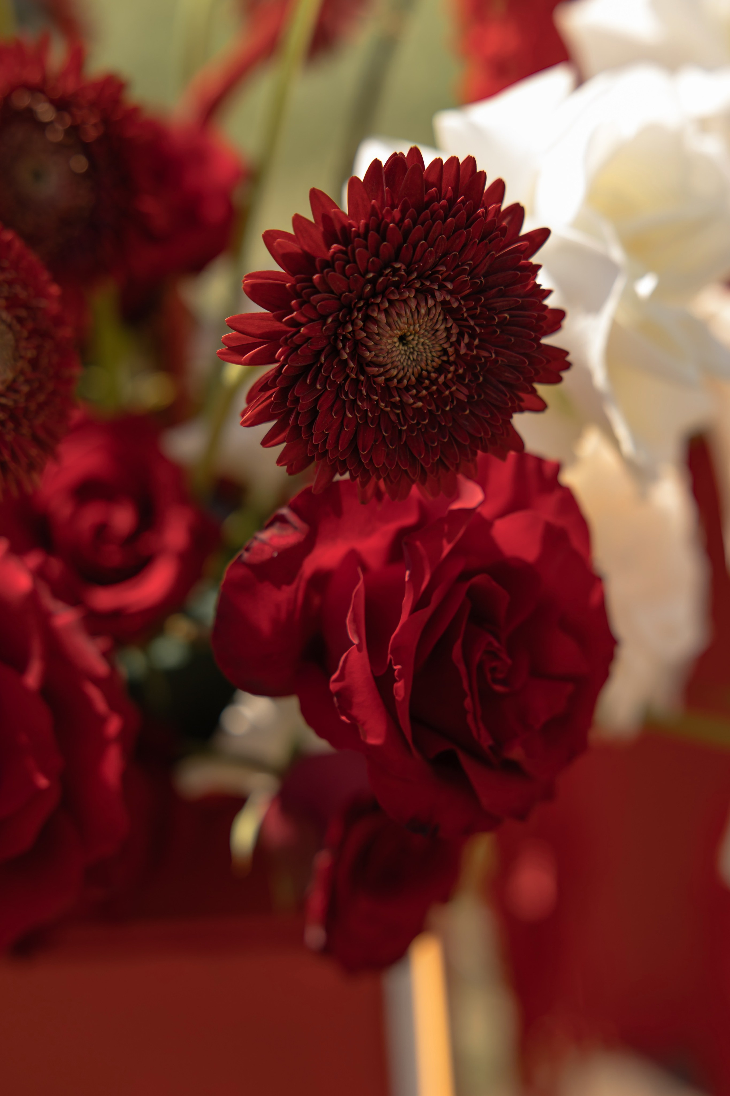 Валерий и Лиза. Свадебный и Семейный фотограф по всему миру Анна Фёдорова