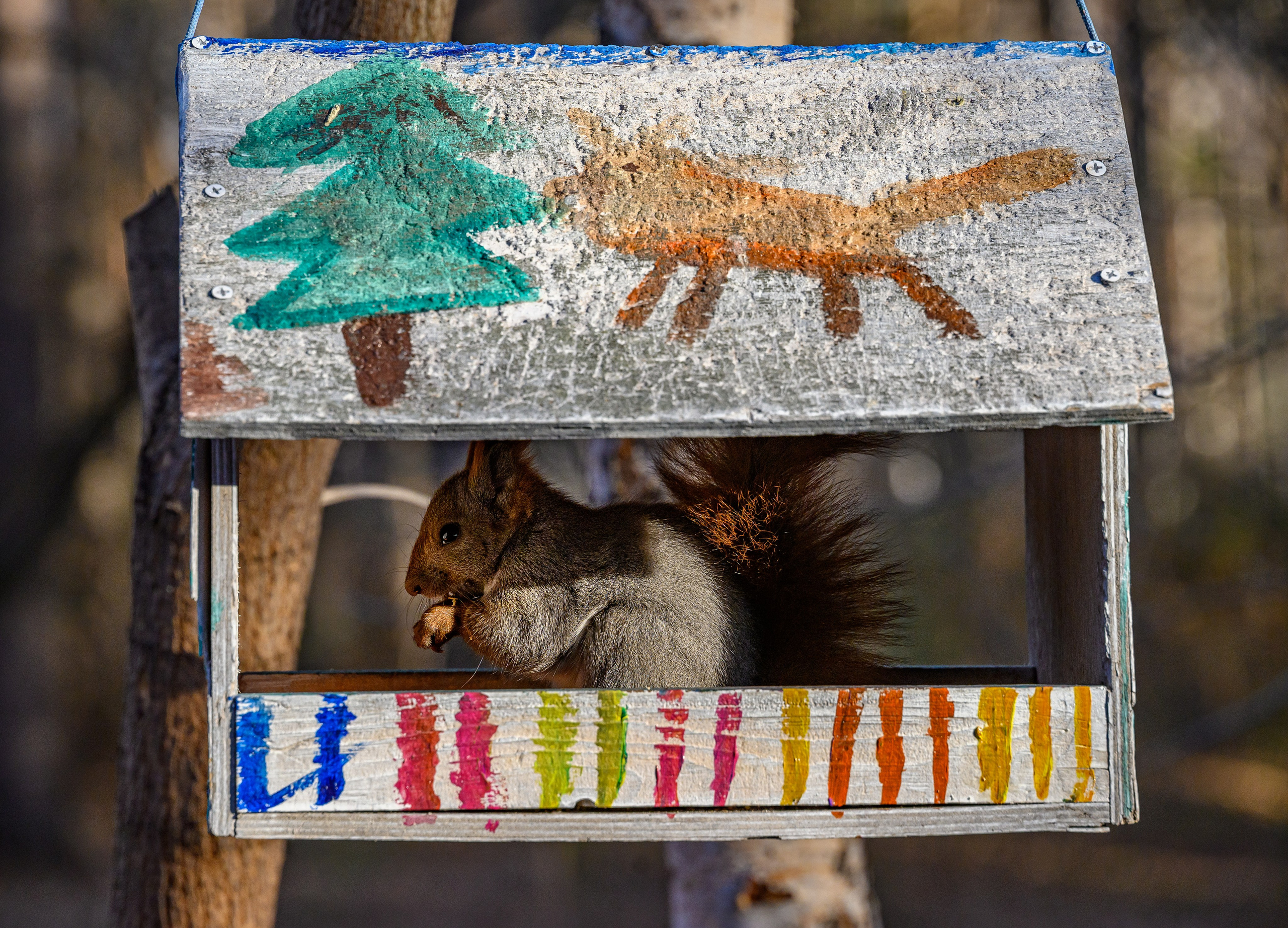 Осень. FotoGraf