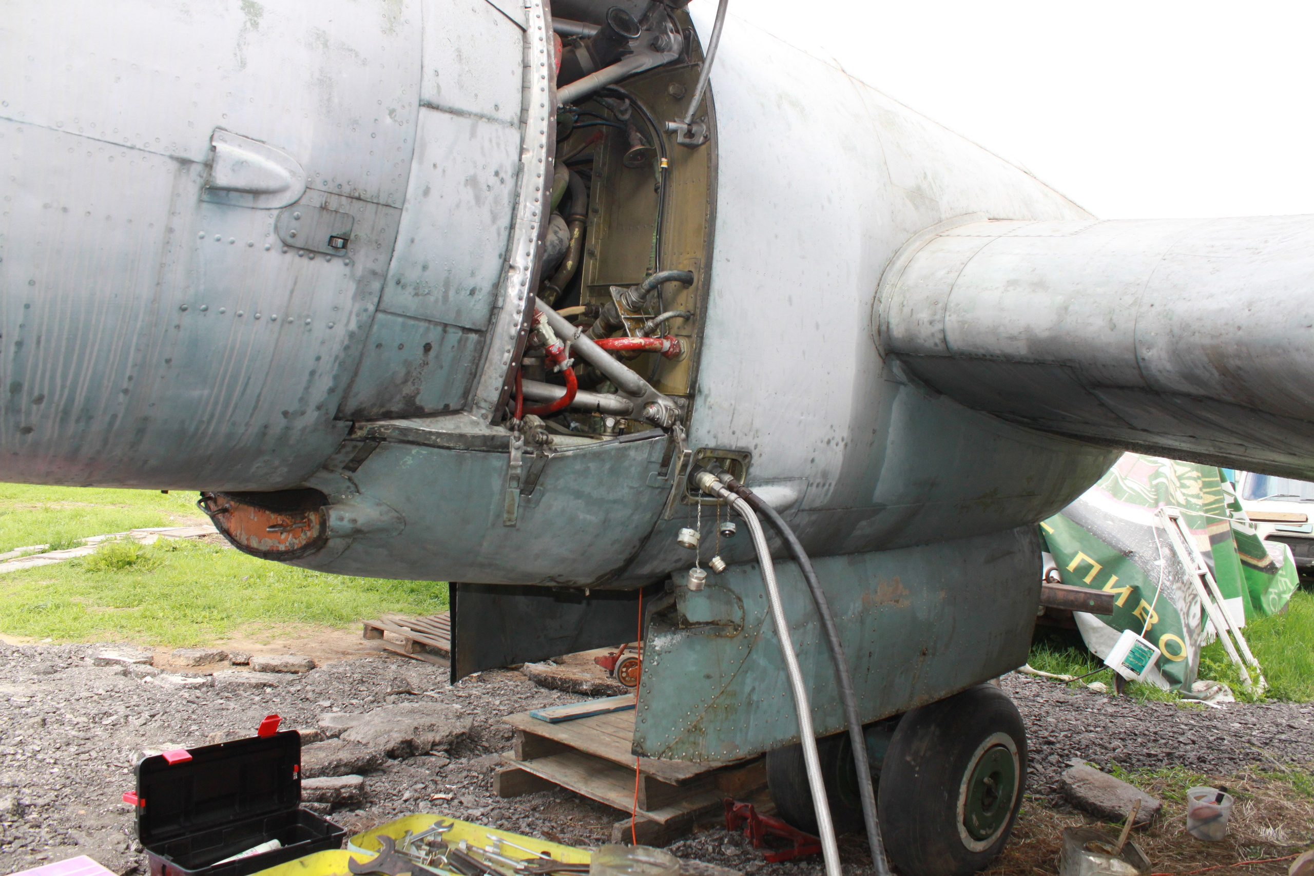 Ил-14Т «Голубая Мечта» работы в Тушино (2011 г.). Фотоальбом показывающий увлекательный мир авиации и мир медведей Андрея Иванова