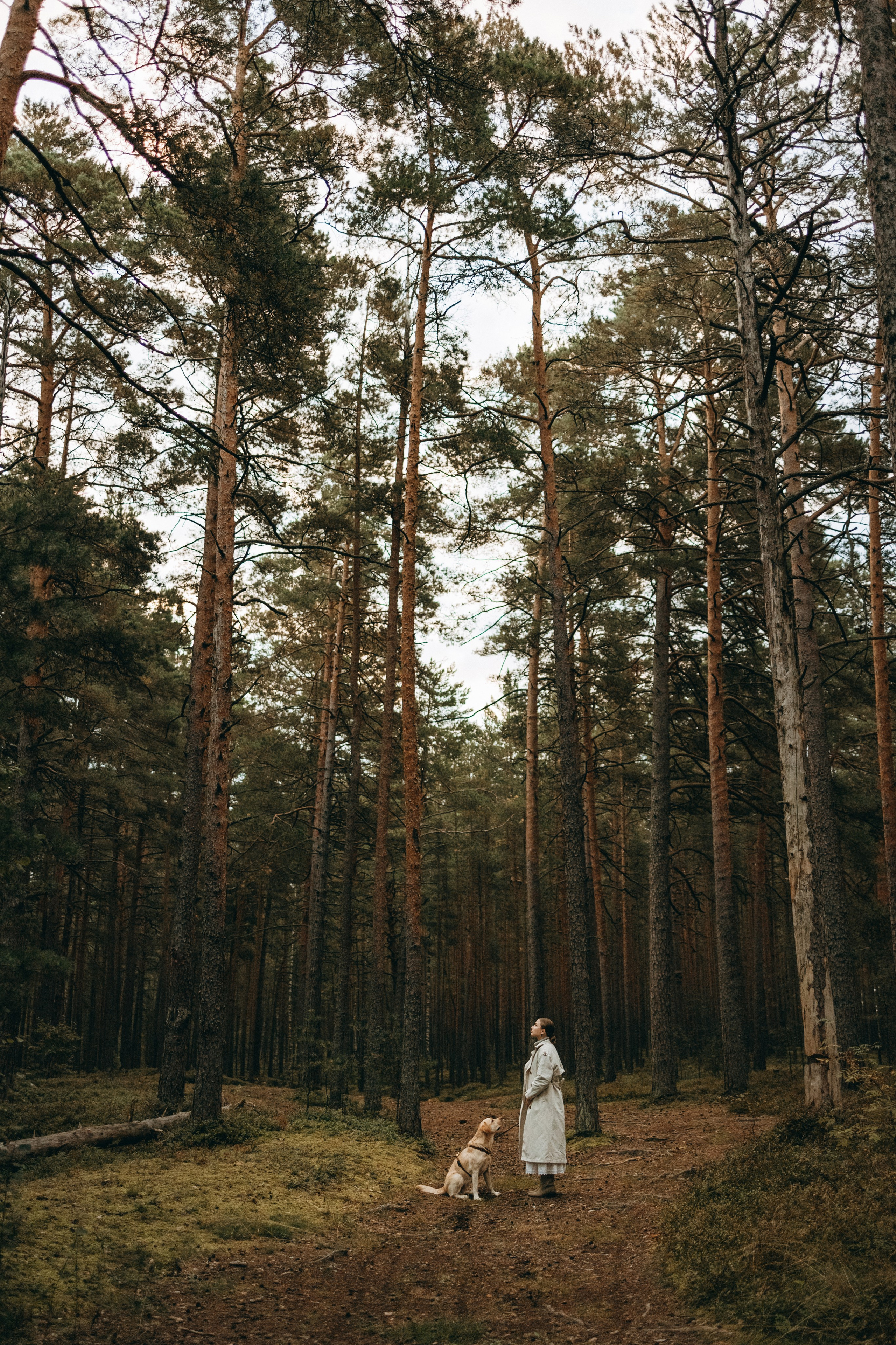 Наташа и Шани. Фотограф — Анималист | Санкт-Петербург