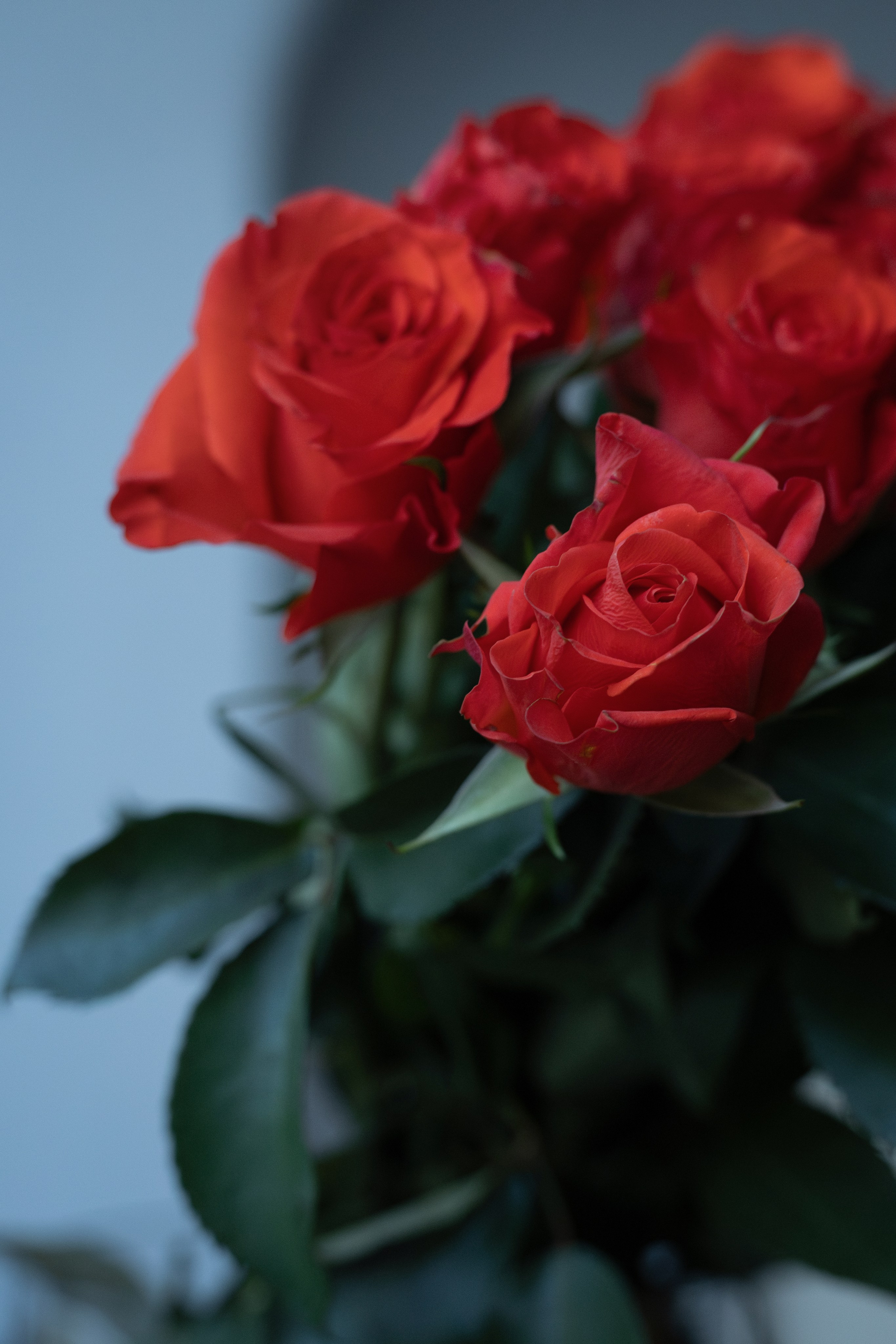 Lecture “Love in Philosophy”. Magic photos