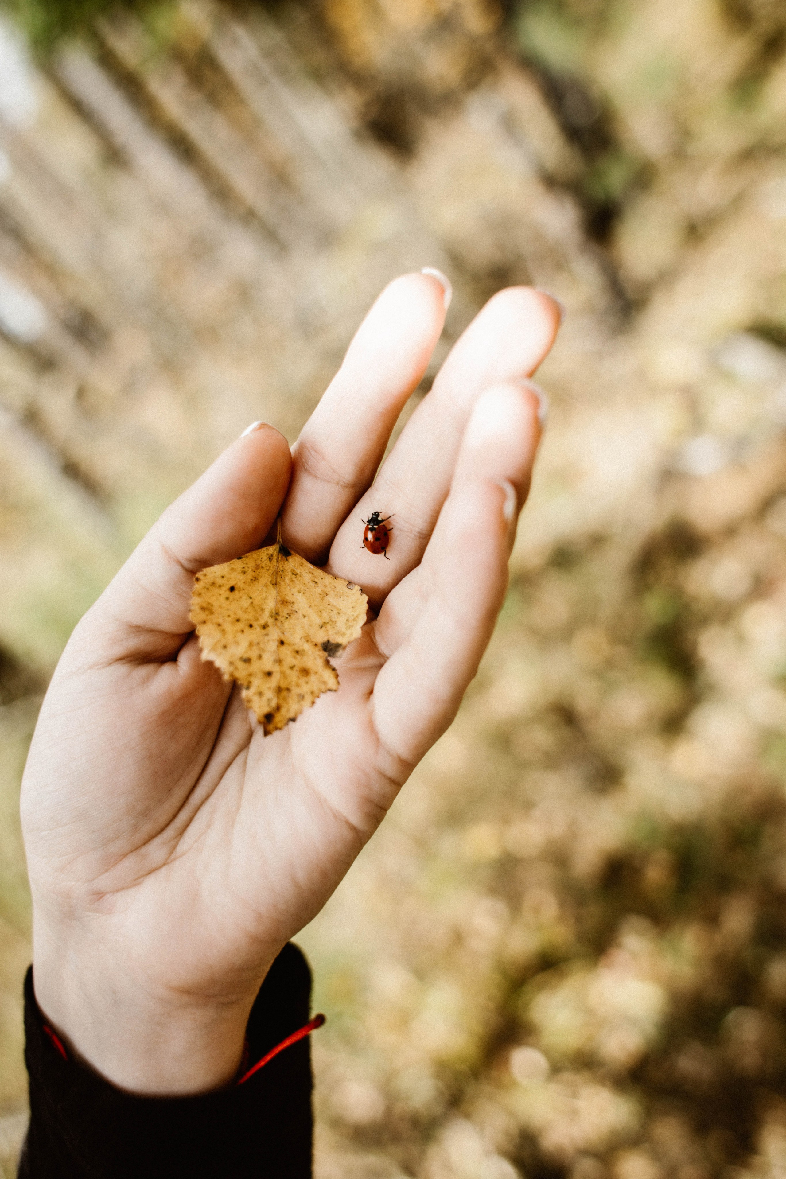 Алиса+ Алёна. Фотограф в Нижнем Новгороде
