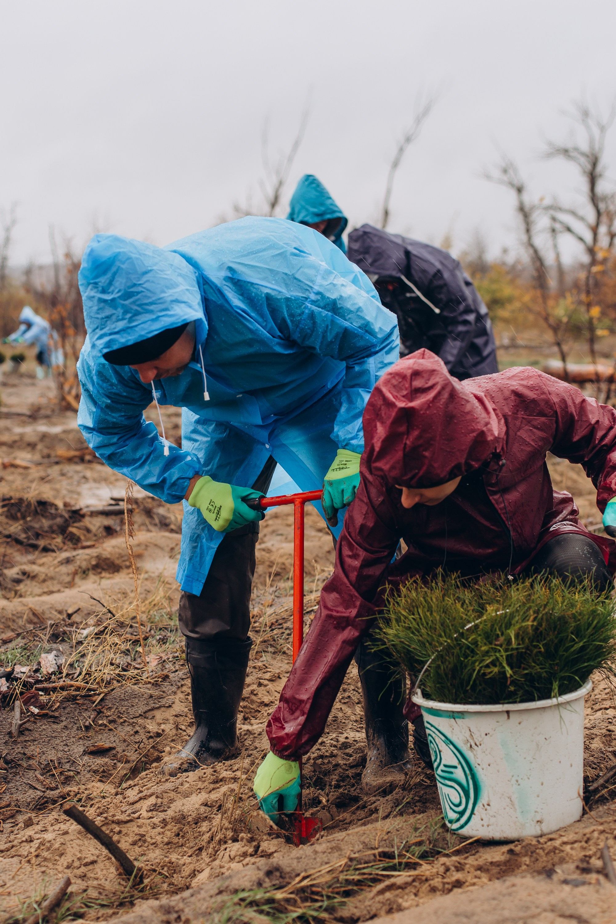 Посадка деревьев в Усть-Донецком районе. Артём Панфилов — Свадебный и семейный фотограф в Ростове-на-Дону