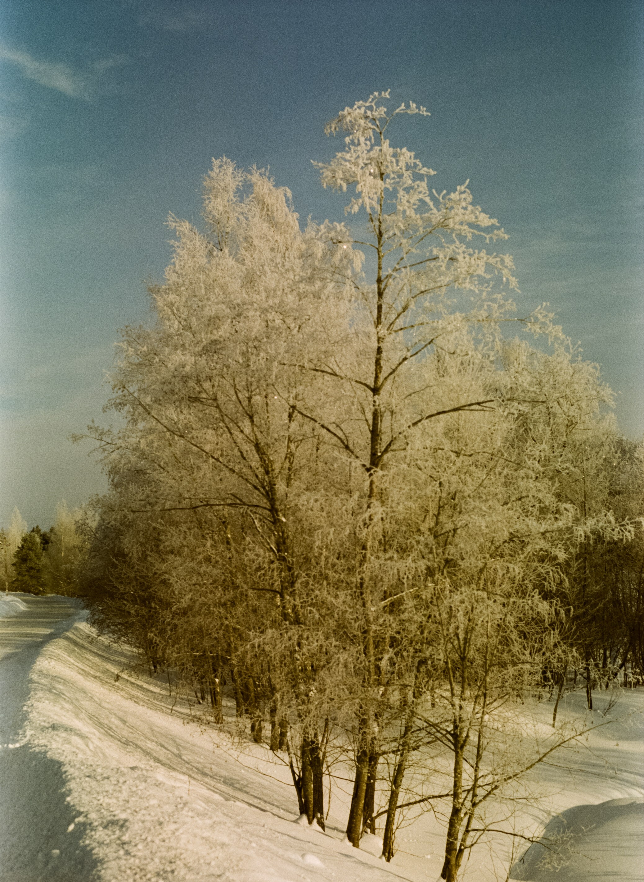 Pentax MZ-3 (1) объектив Schneider-Kreuznach Retina-Xenon 50 mm f/1.9 D