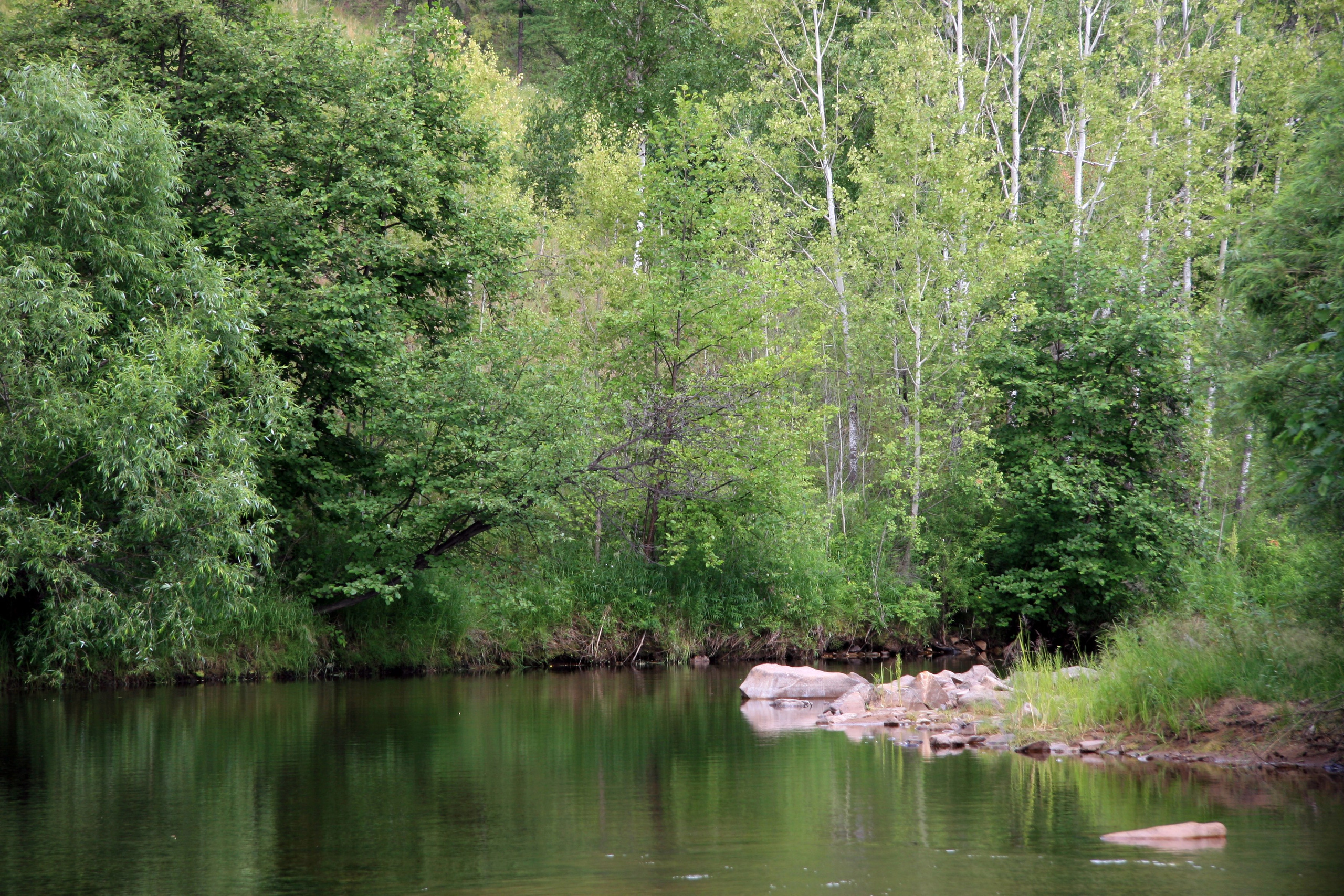 Фото Природы Забайкалья. Студия Максима Белослюдцева