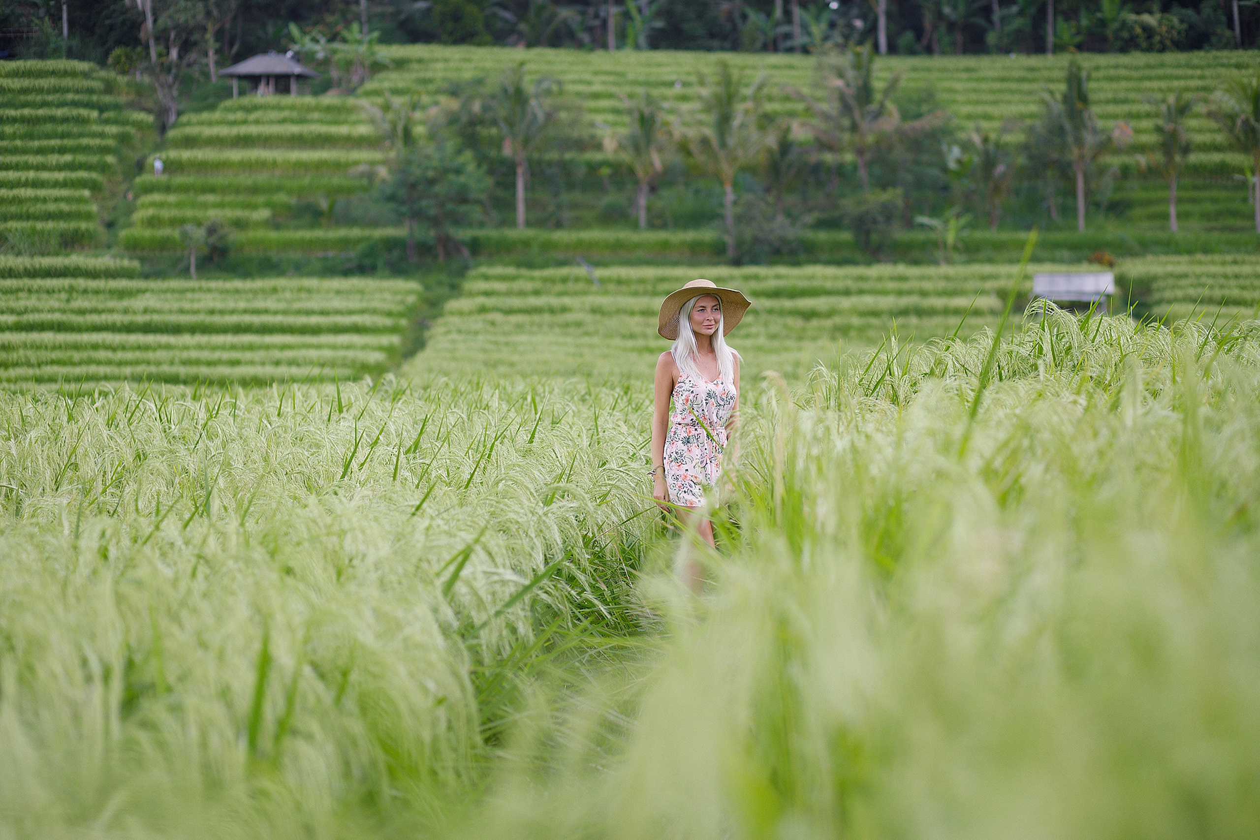 Фотосессия на рисовых террасах Бали