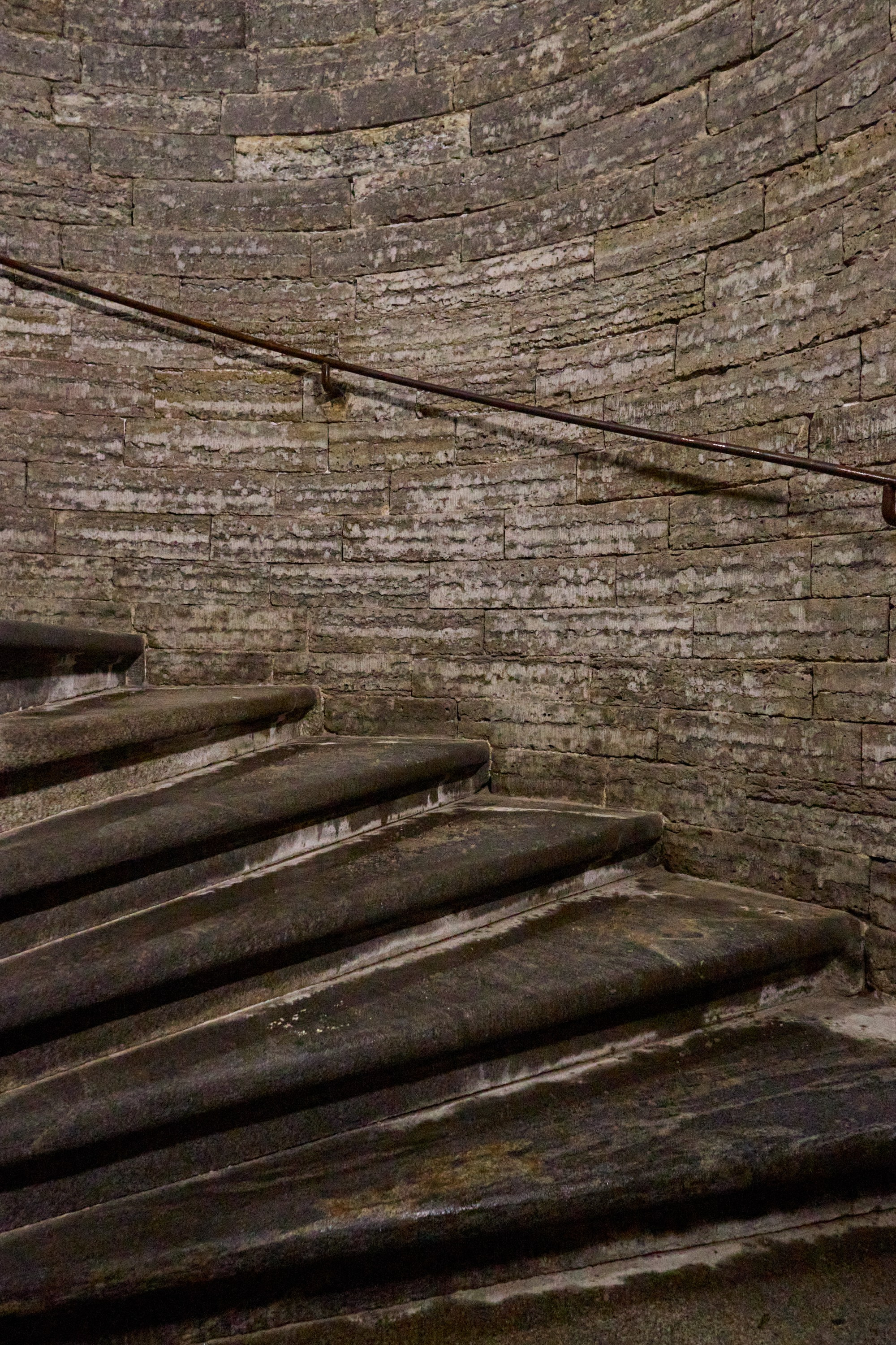 Рождество въ Санктъ-Петербургѣ. Фотографъ Сергѣевъ. Поймать мгновеніе