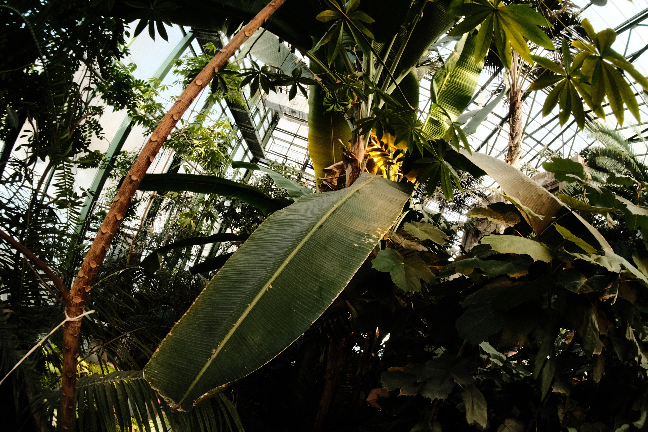 Аптекарский огород. Фотограф-любитель из Кирова Андрей Погребняк