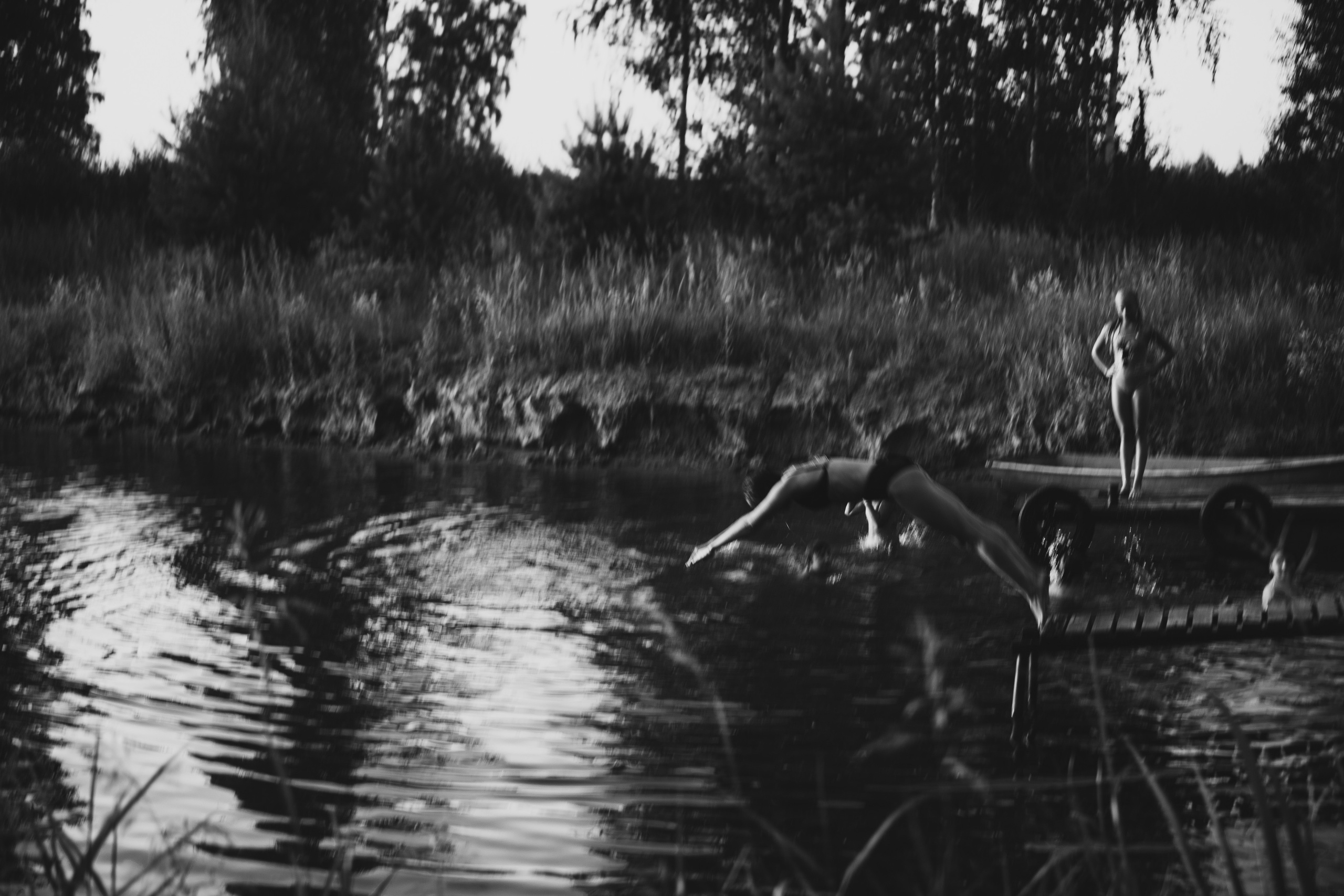 Света. Главная