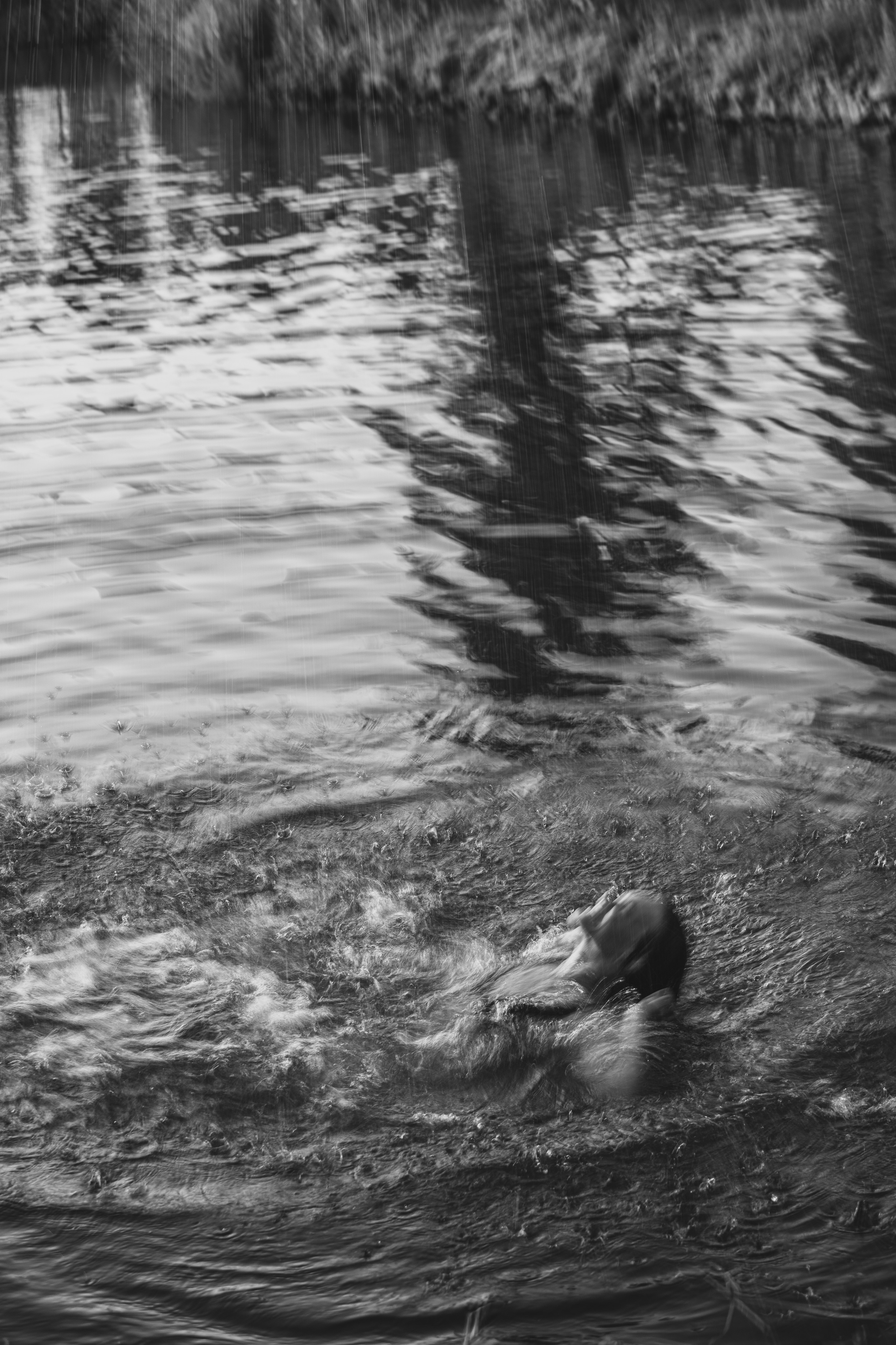 Света. Главная