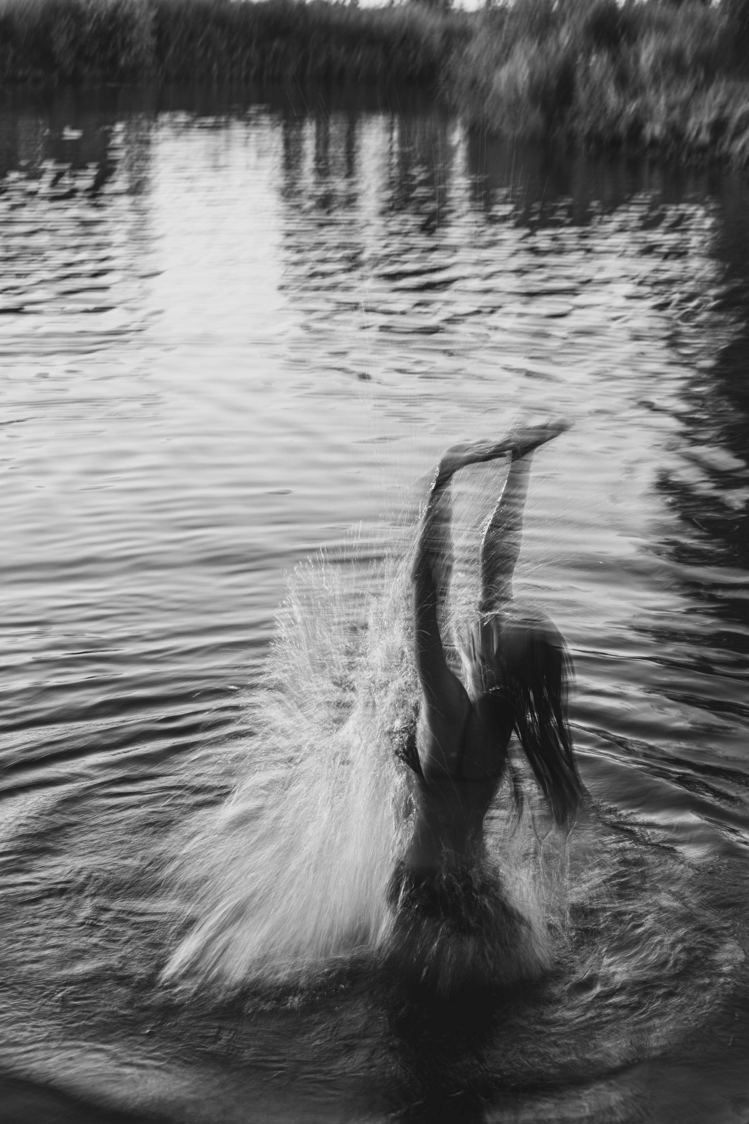 Света. Главная