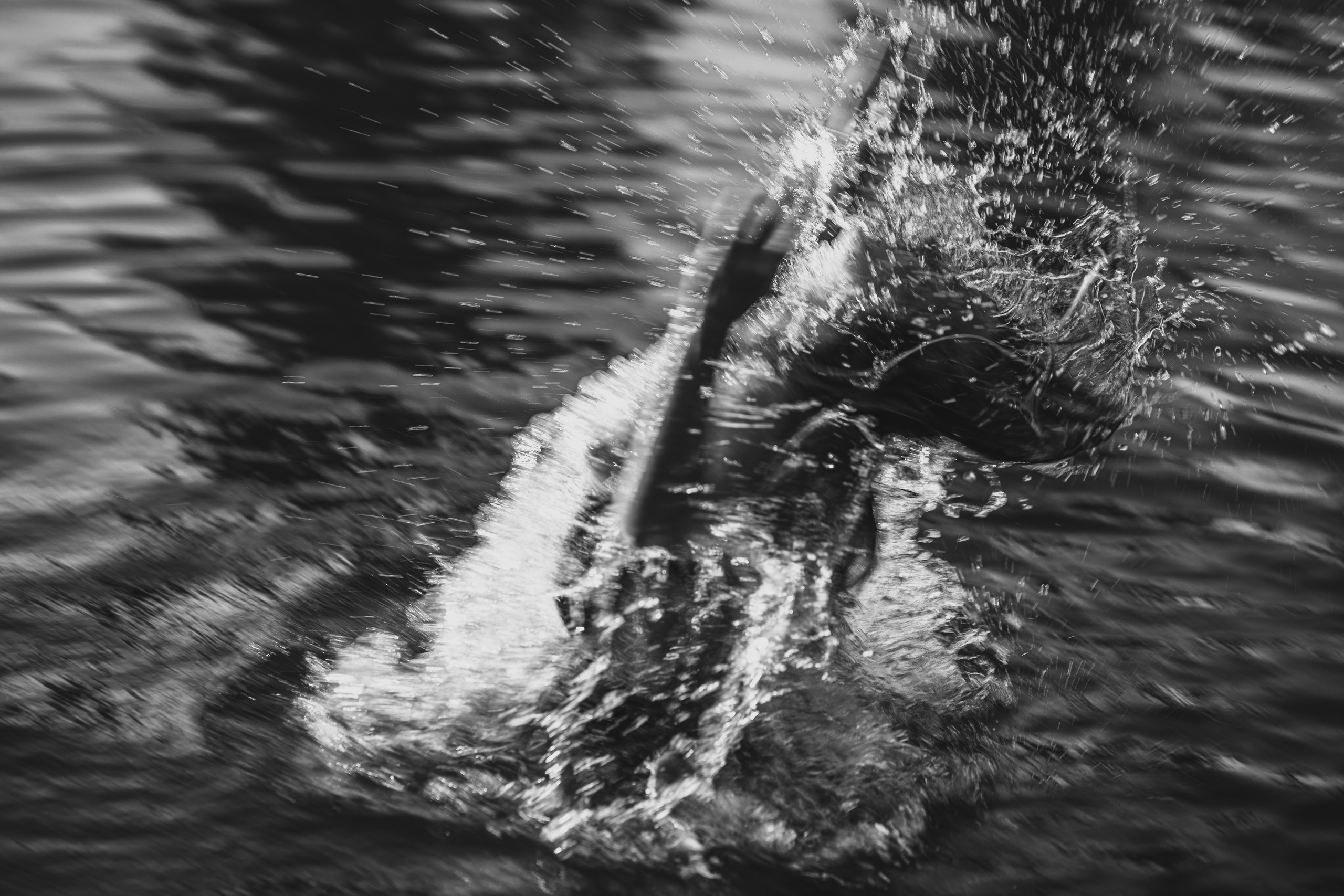 Света. Главная