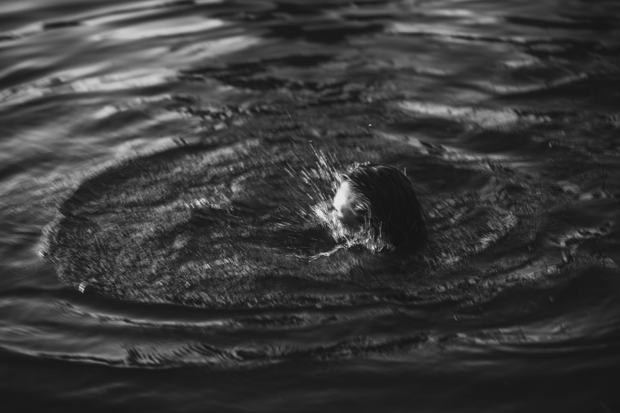 Света. Главная