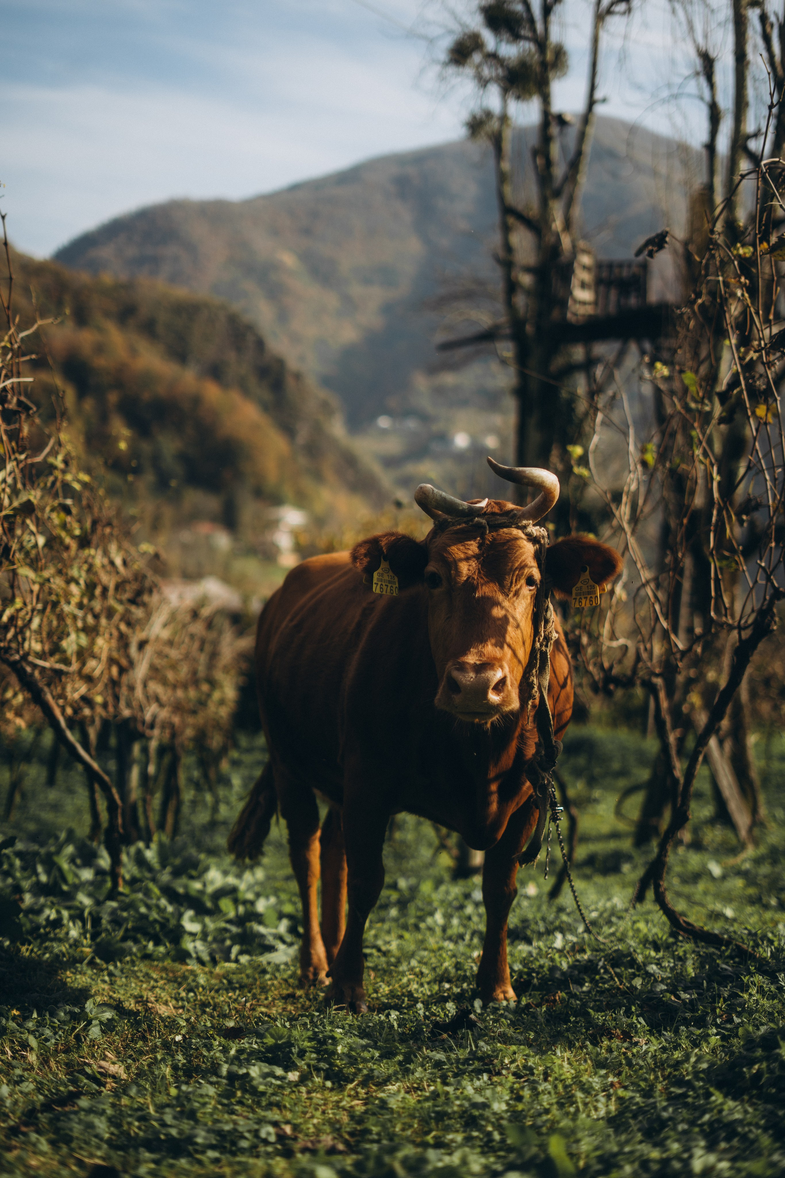 28. Фотограф Батуми | Ксения Кинасова