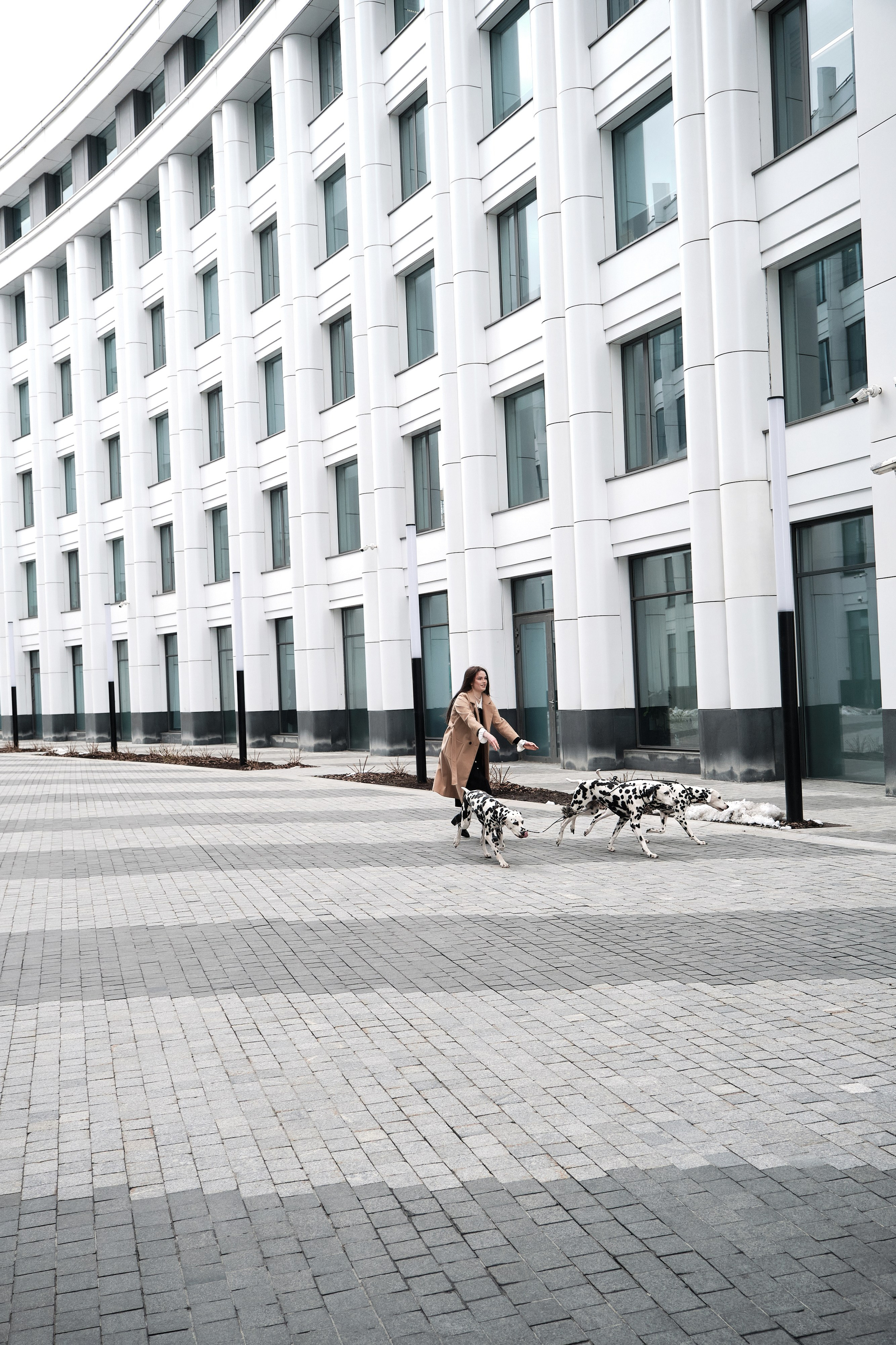 фотограф для фотосессии с далматинцами Виктория Колышева