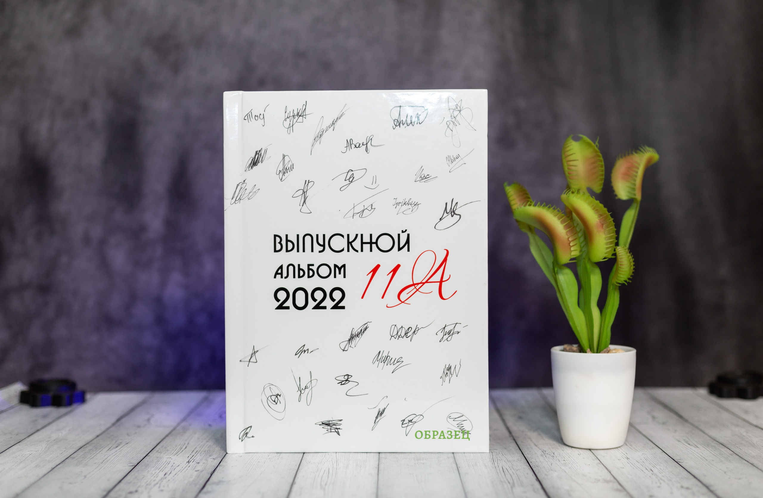 Варианты обложек. Выпускные альбомы Воронеж от Веры Соколовой