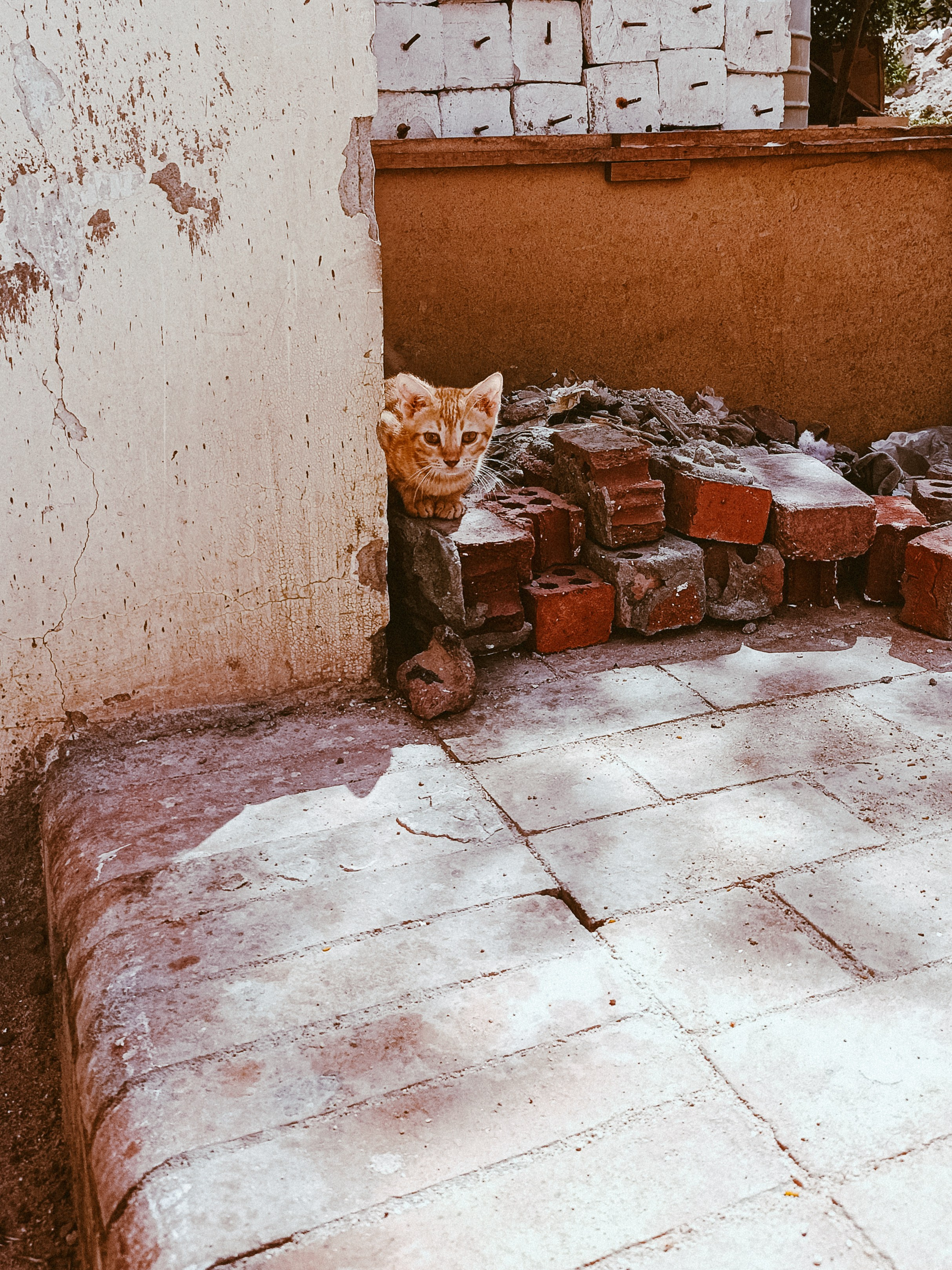 Мобильная. Jorgis — фотограф в Хургаде / обучение фотографии